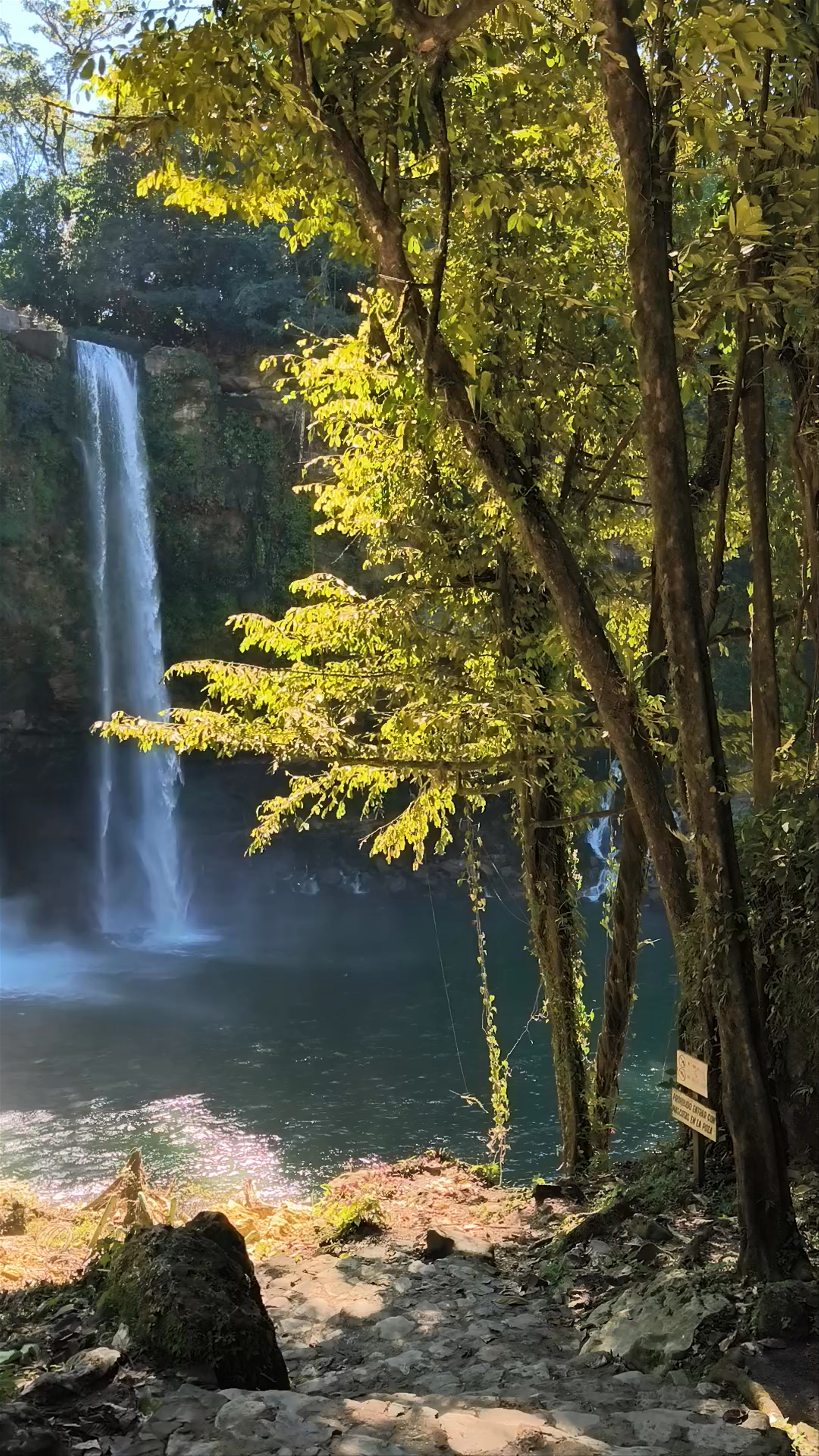 Cascada Misol Ha: Stunning Waterfall Amidst Chiapas Jungle