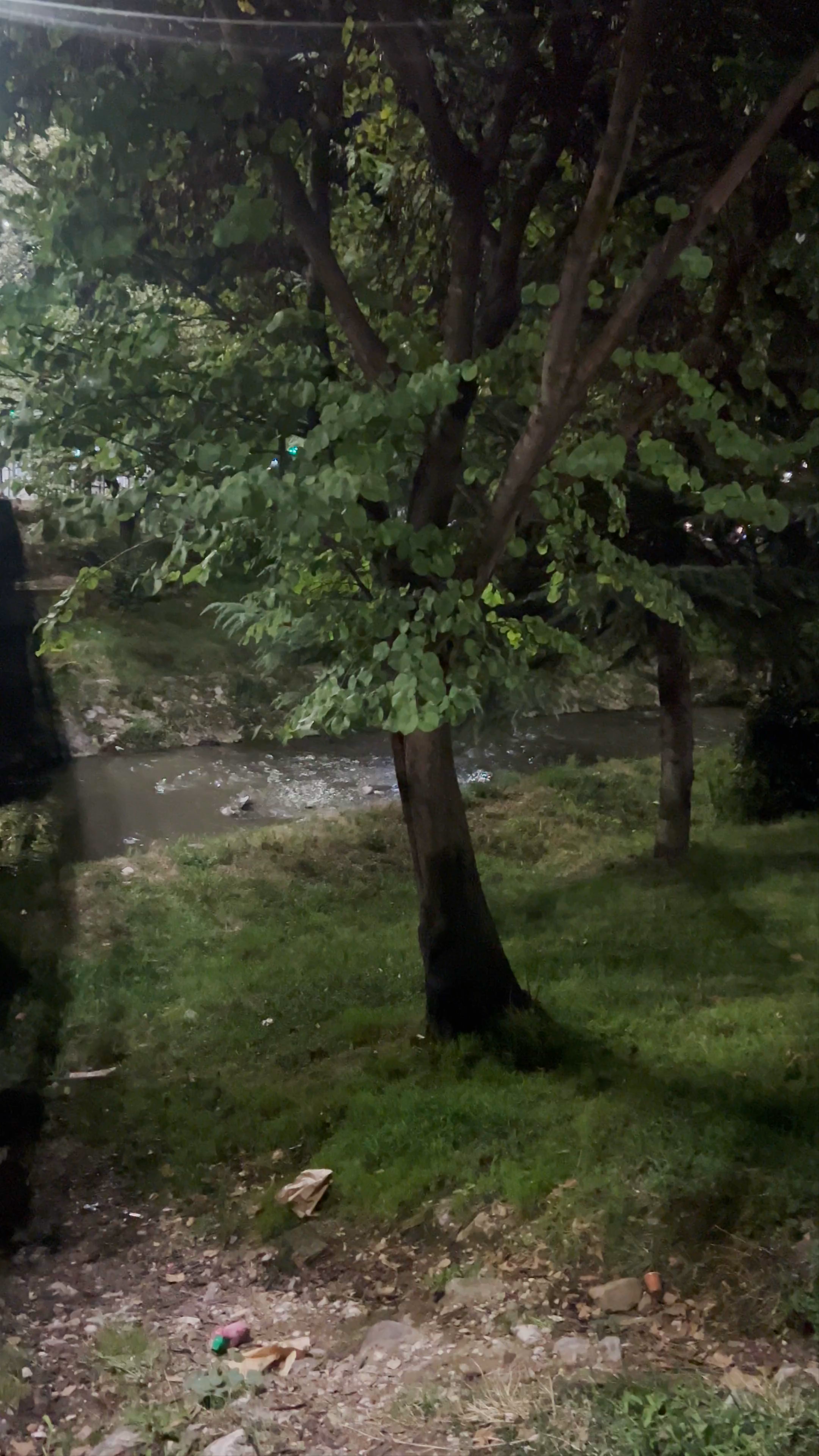 Evening Stroll Along the Lana River in Albania
