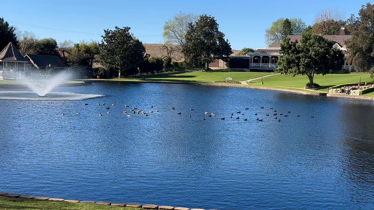 The Veranda Restaurant - View from our table - Desserts Near Me - Fallbrook, California