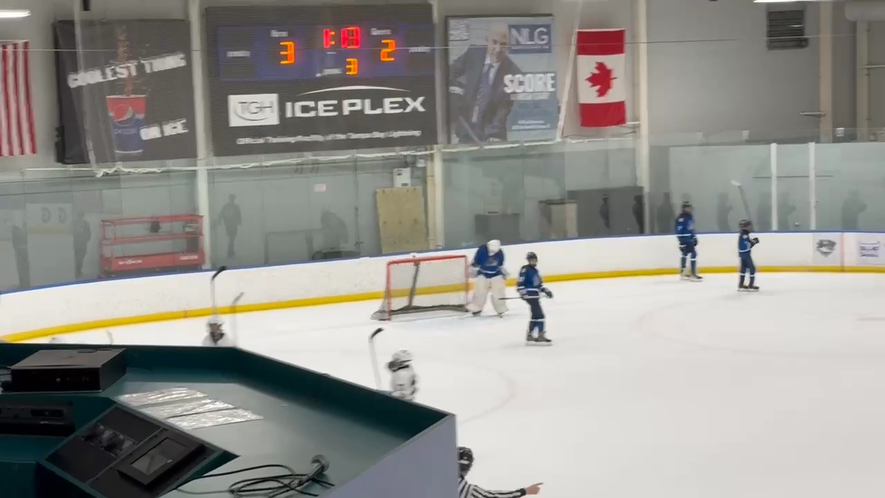 Lev Kargapolov's Stunning Goals | Nest Hockey Academy 14U Highlights