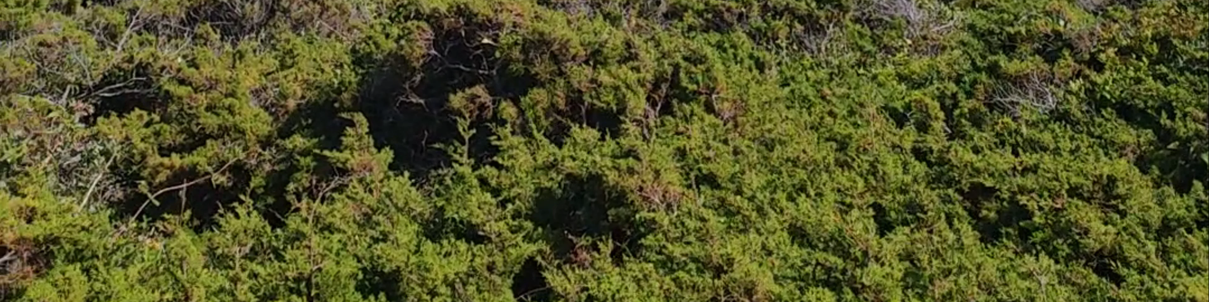 Fanale di Pertusatu