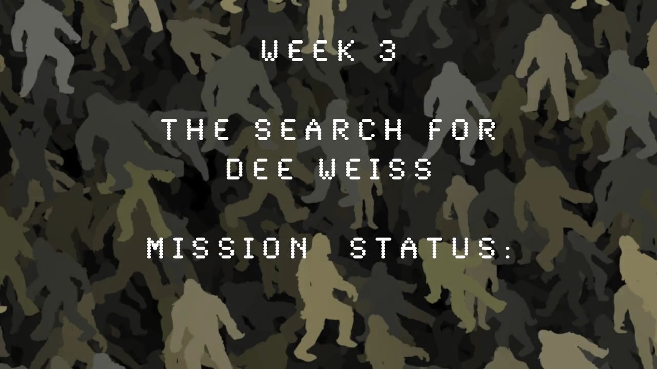Two men conduct an active field investigation, trekking through a wooded area to continue a persistent search operation.