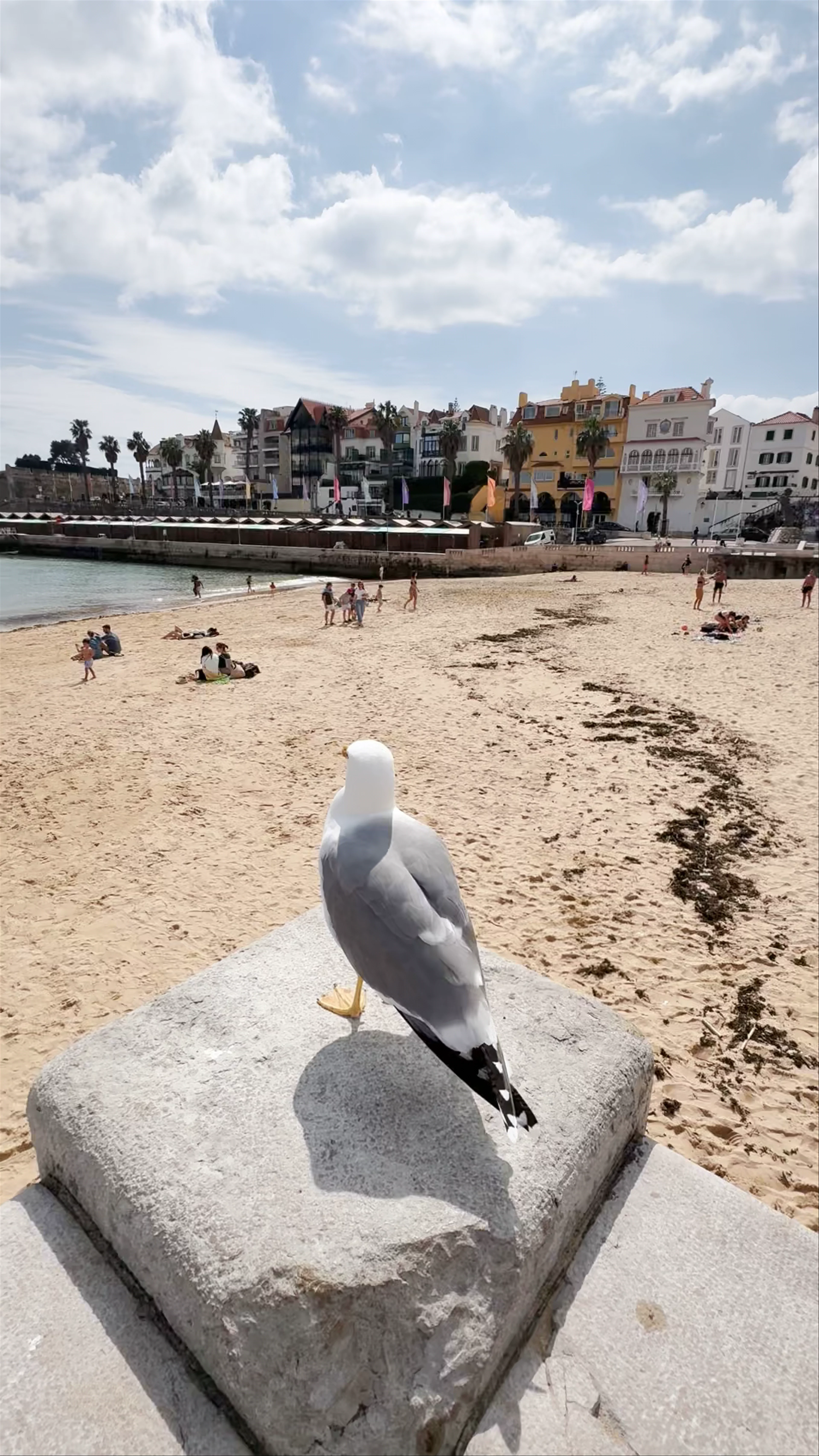 Praia da Ribeira de Cascais