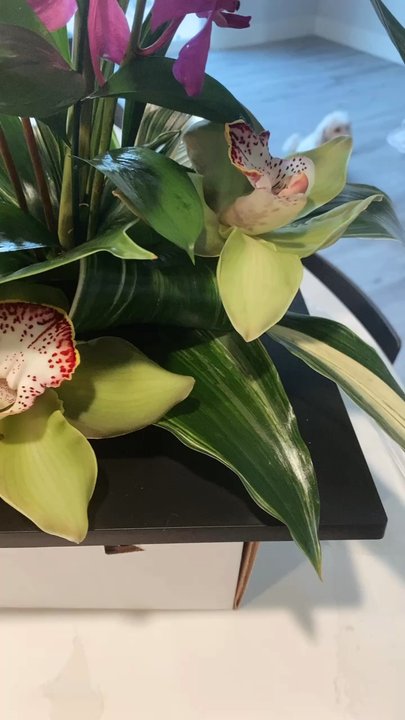 Island Florals - Designers choice (standard) :) - Florists Near Me - Costa Mesa, California