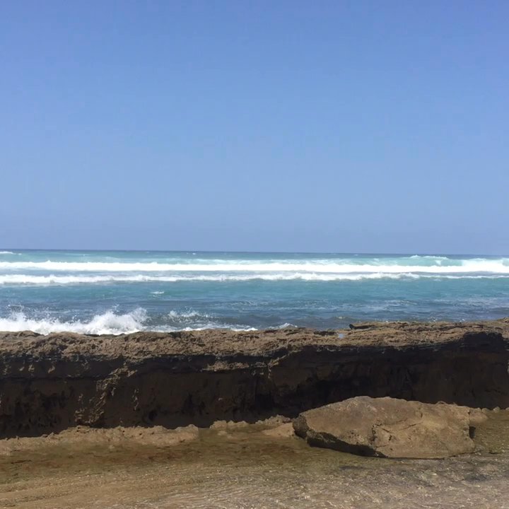 La Playa de Hatillo - Local Flavor Near Me