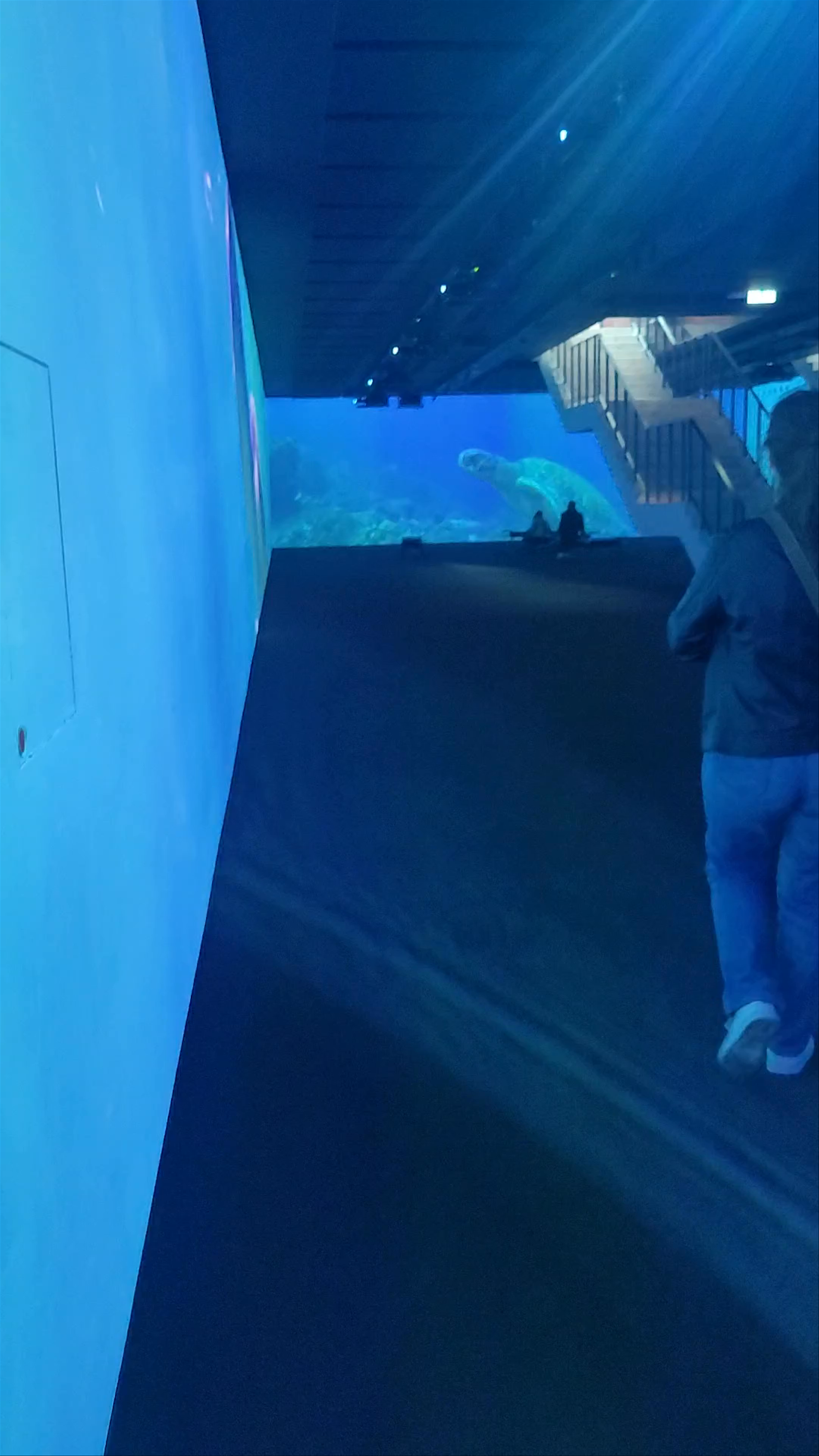 Immersive Underwater Experience at Gallerie d'Italia, Torino