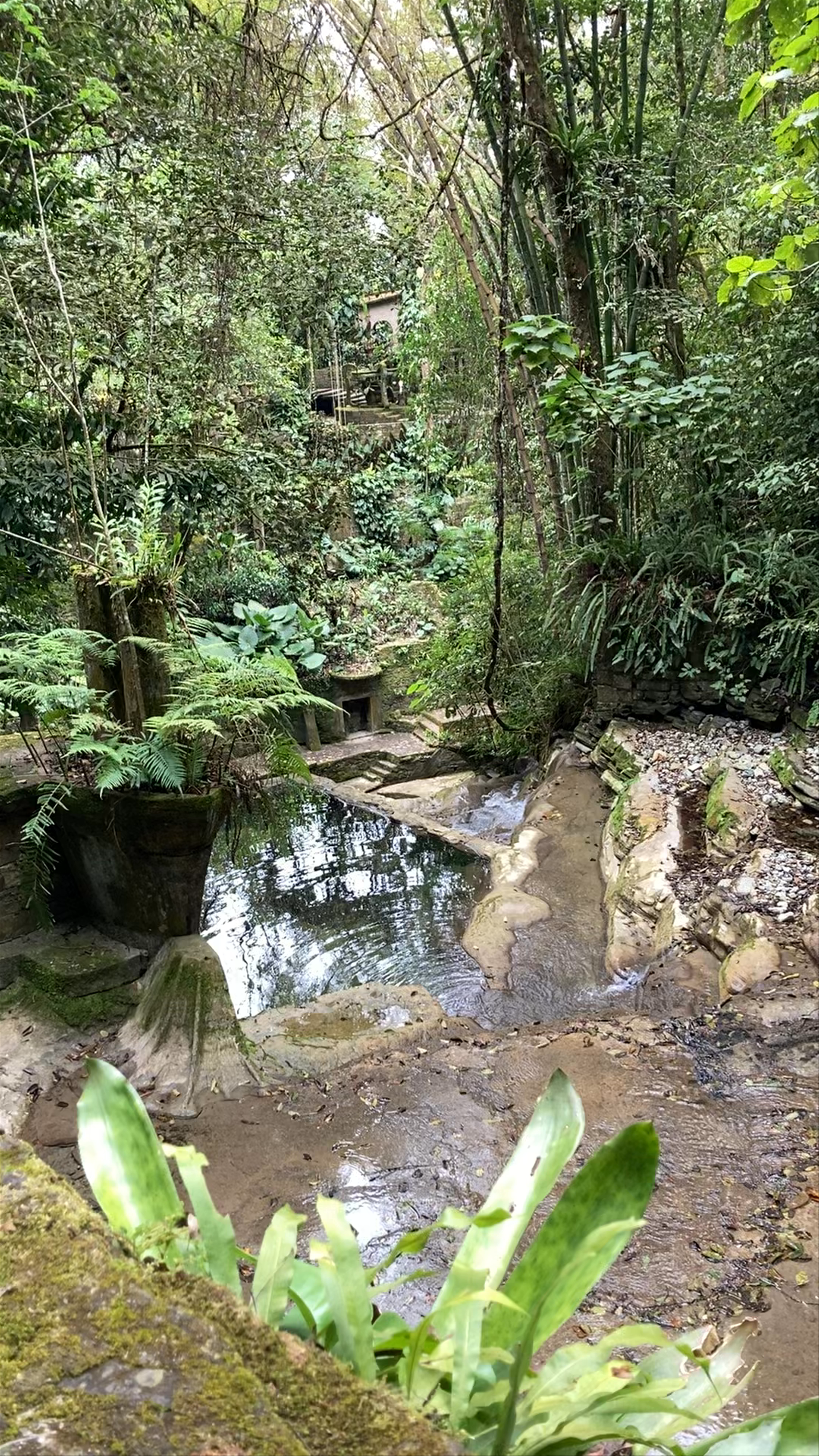 Jardín Escultórico Edward James