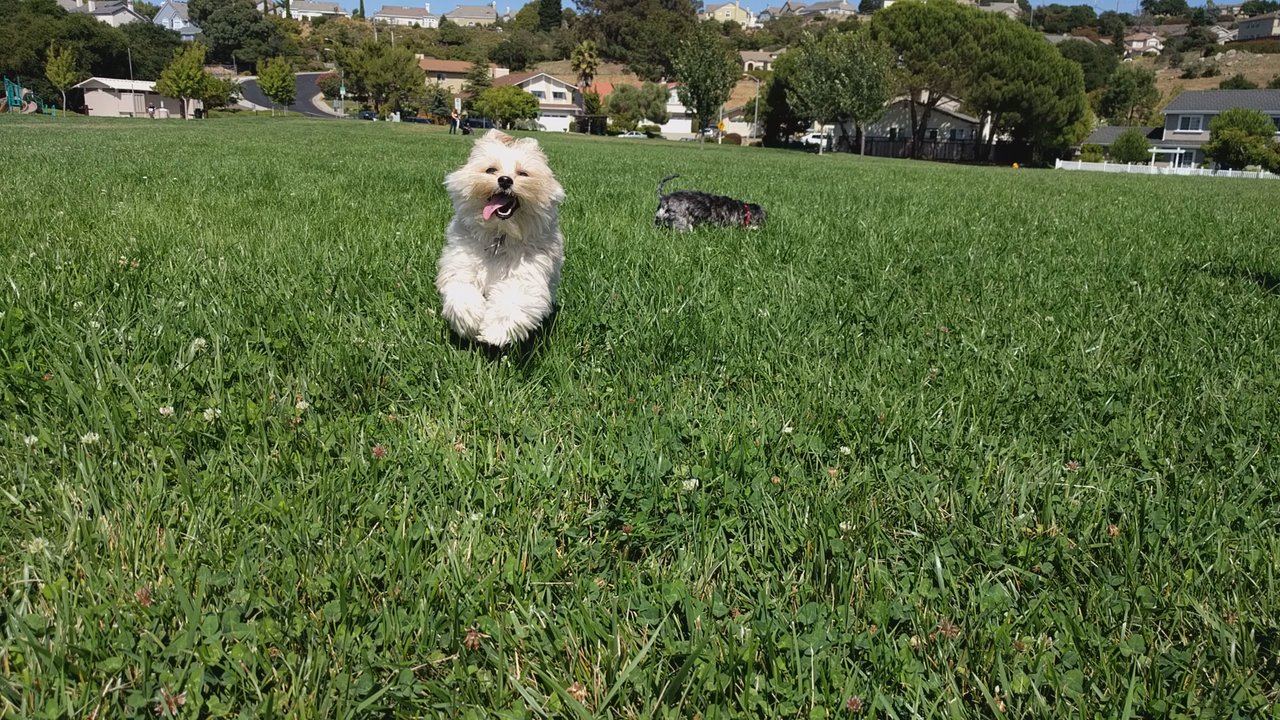 JA Lewis Park - Parks Near Me - Hayward, California