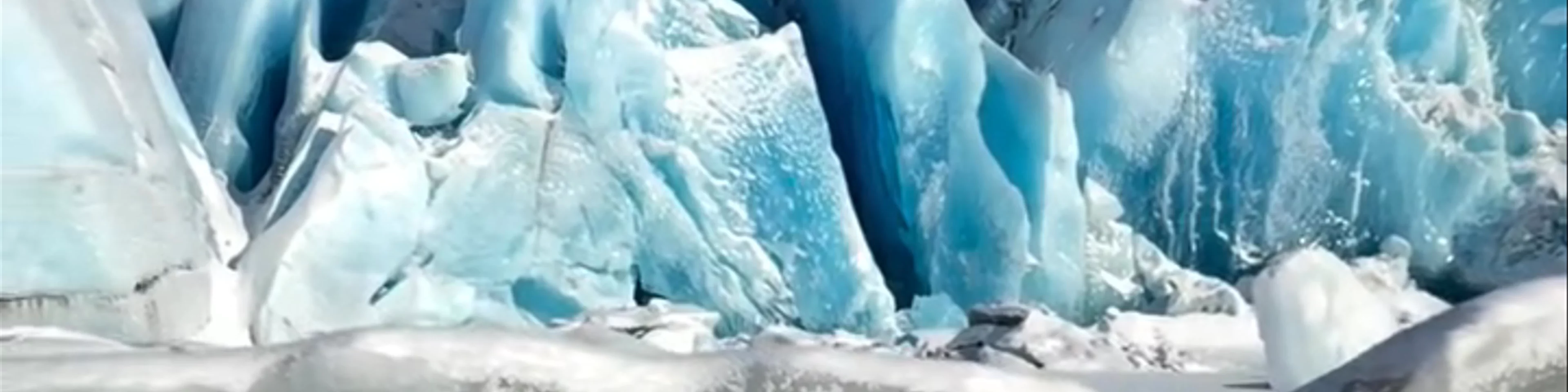 Alaska Mountain Guides
