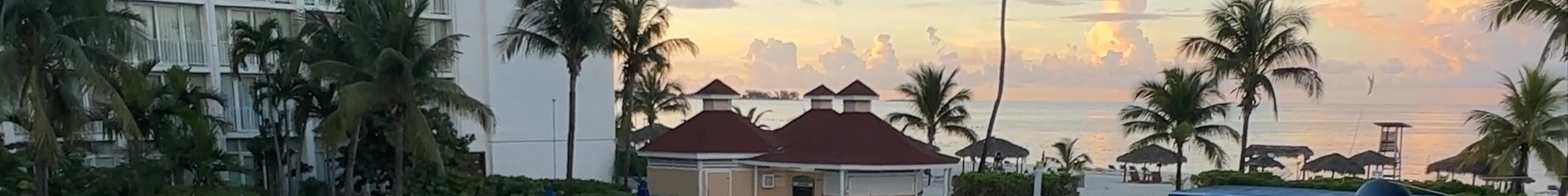Tours & experiences in Bahamas