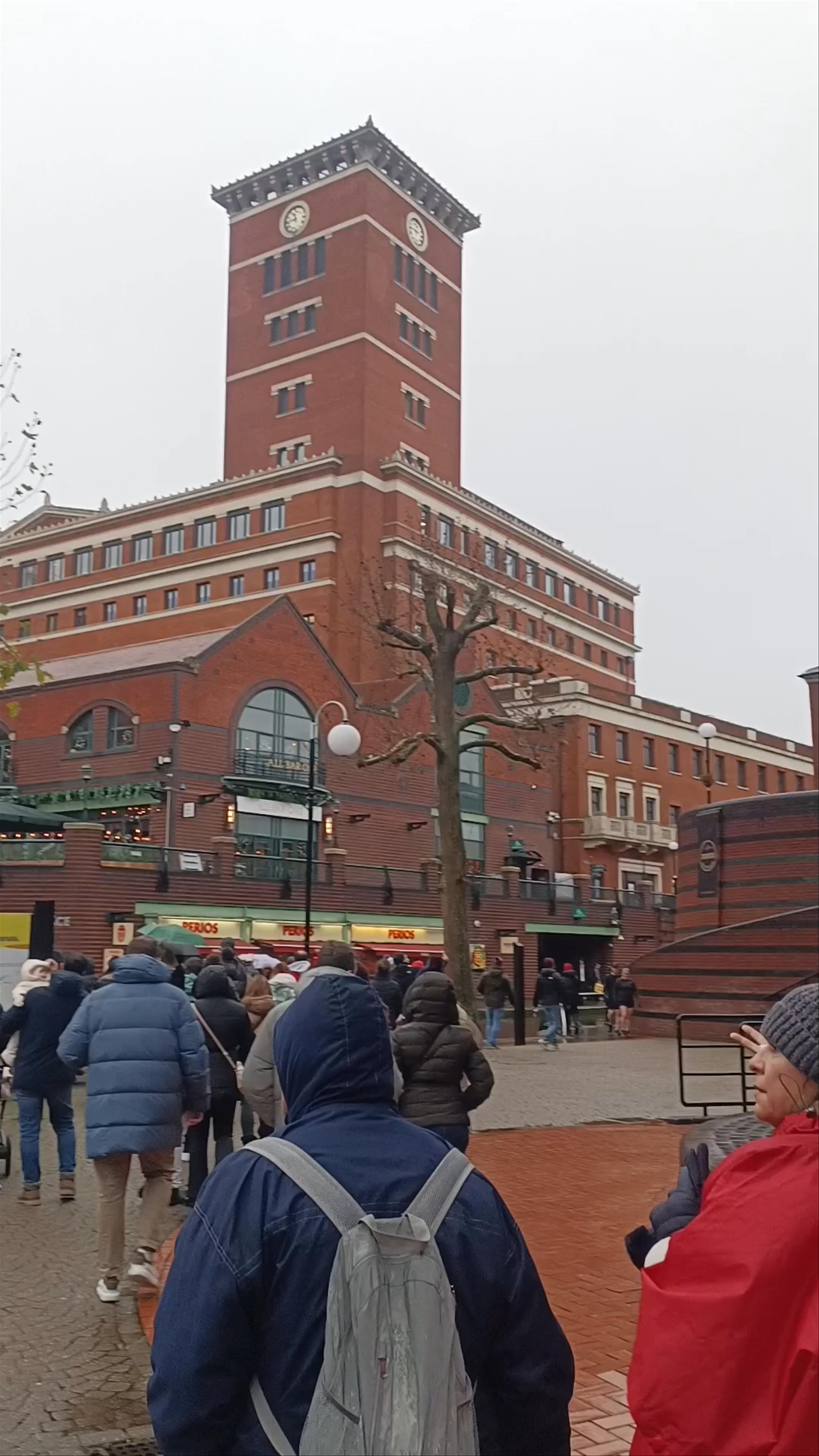 Winter Charm at Brindleyplace Bridge, Birmingham