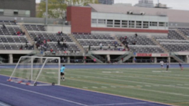Goalkeeper during a soccer match