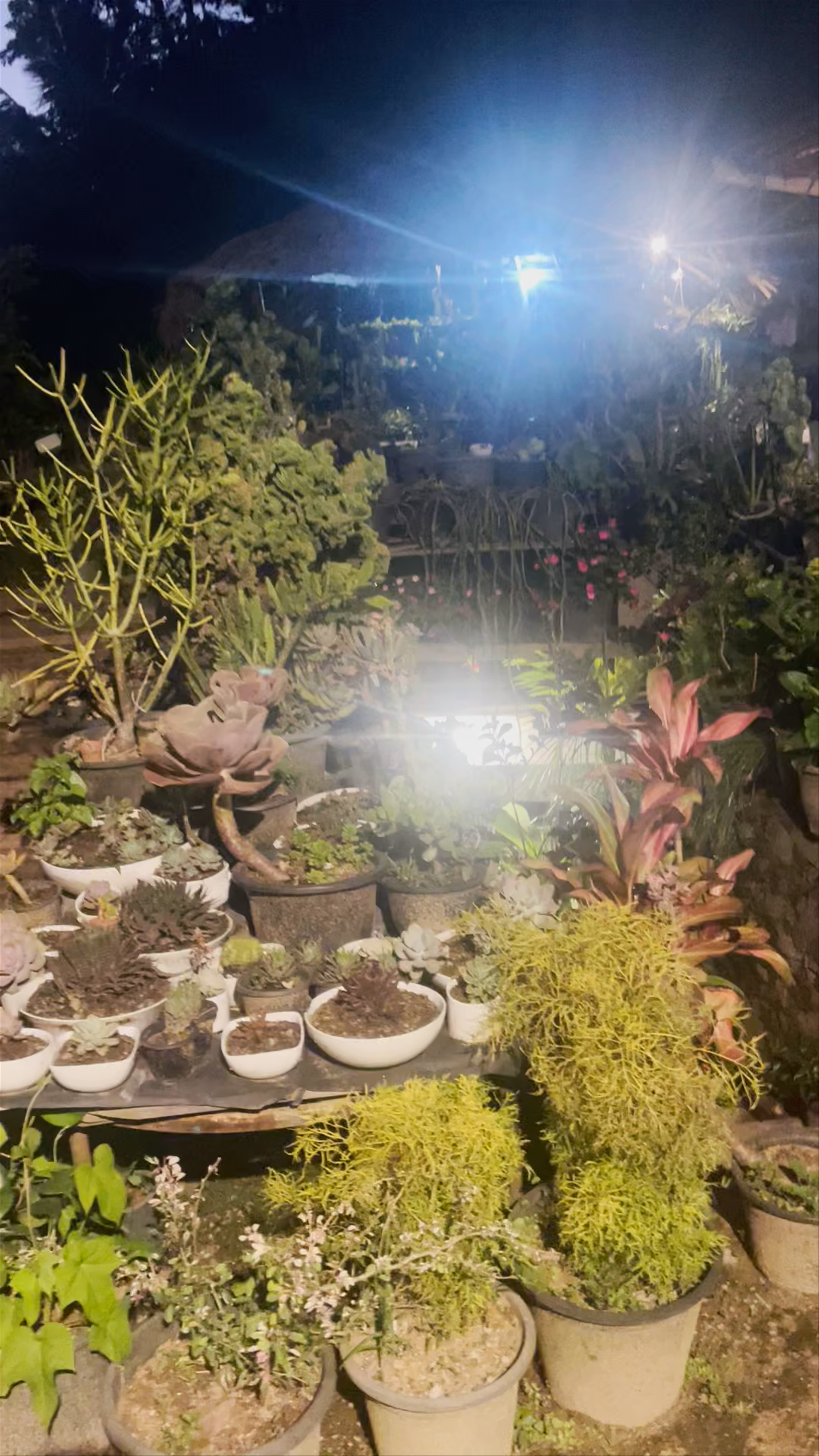 Ella Flower Garden Resort