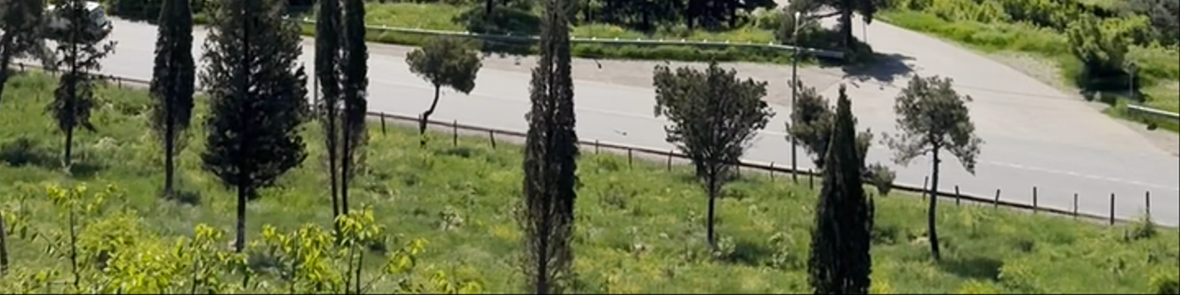 Tbilisi Reservoir
