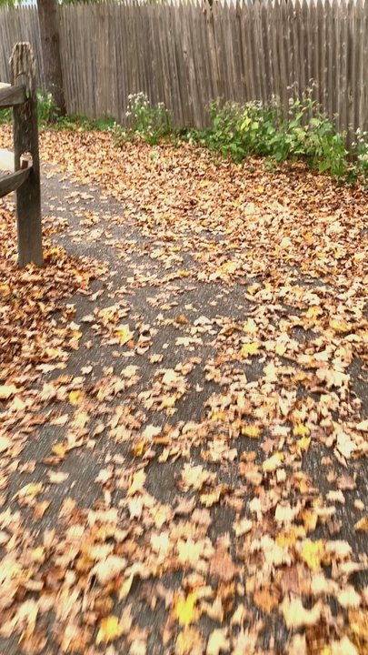 Housatonic River Walk - Jump - Parks Near Me