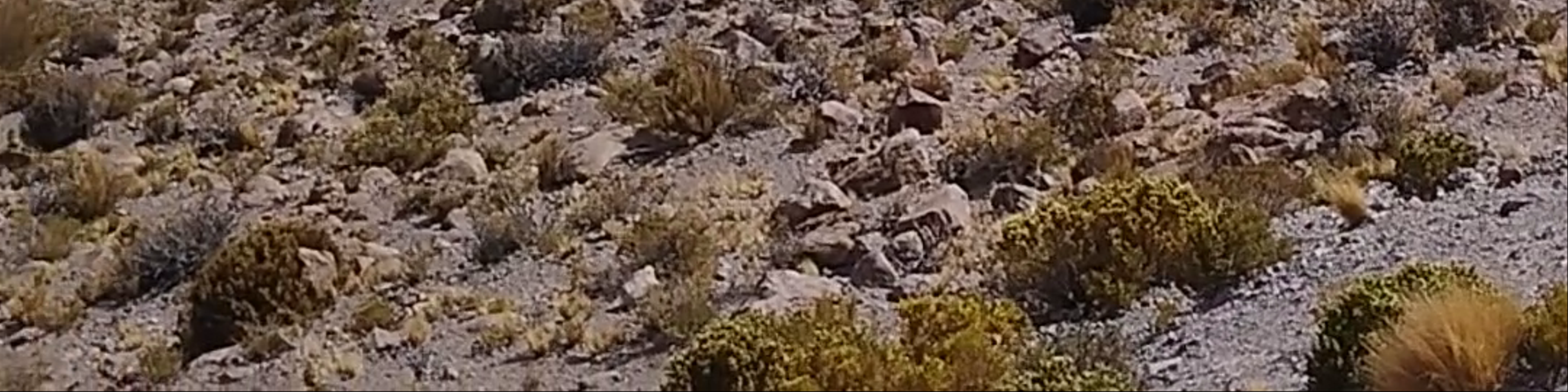 Bolivia