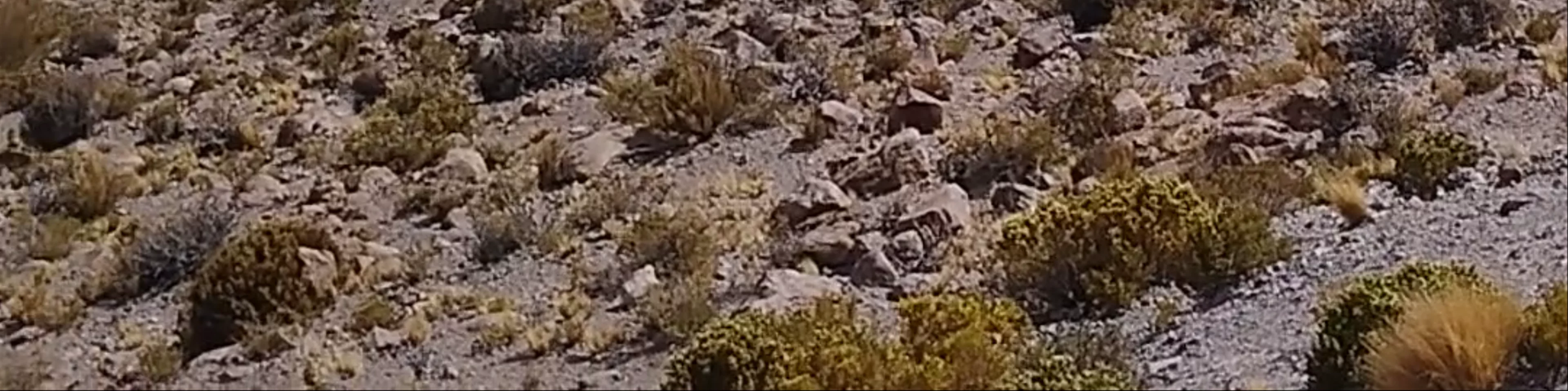 Cañón del Inca