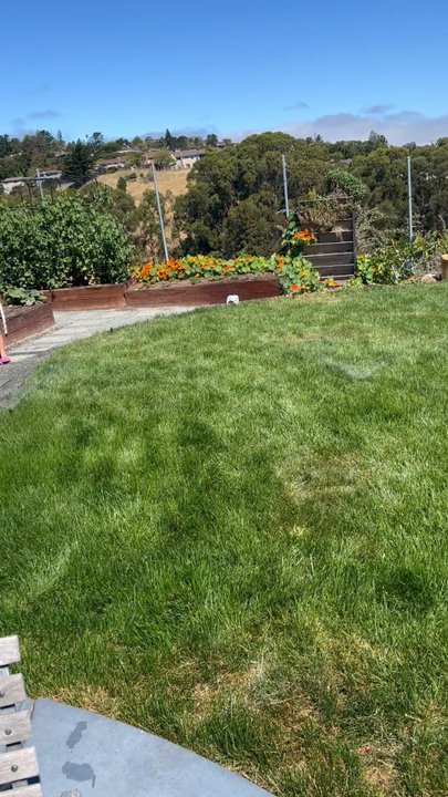MPLandscaping Design - The water system they did doesn't have enough water pressure, Grasses are dying.  so disappointed. - Landscape Architects or Designers Near Me