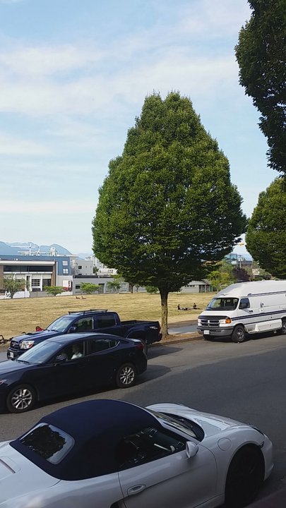 Jonathan Rogers Park - No shade. Yellow grass - Parks Near Me - Vancouver, British Columbia