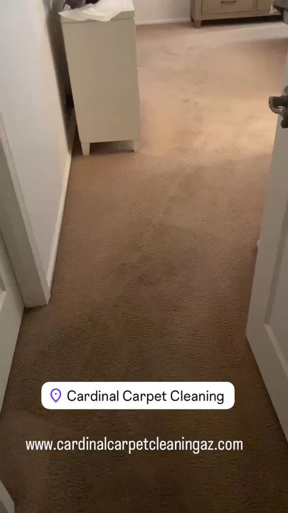 Cardinal Carpet Cleaning - Cardinal Carpet cleaning 85310 602-678-1536 text 602-615-2285 Mon-Sat. 8am-8pm. www.cardinalcarpetcleaningaz.com  #samedayservice - Carpet Cleaning Near Me - Glendale, Arizona