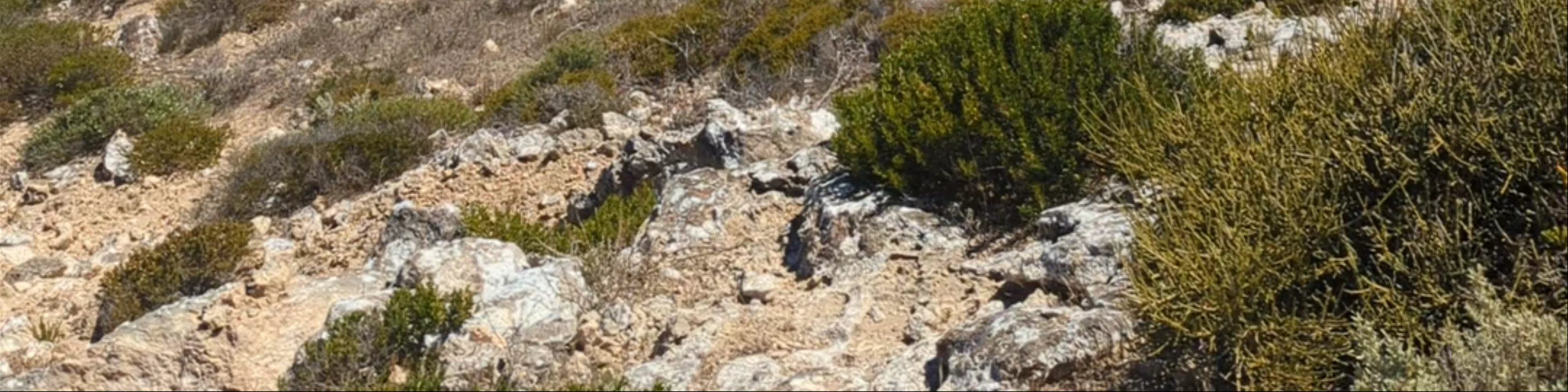 The Granites on Westall
