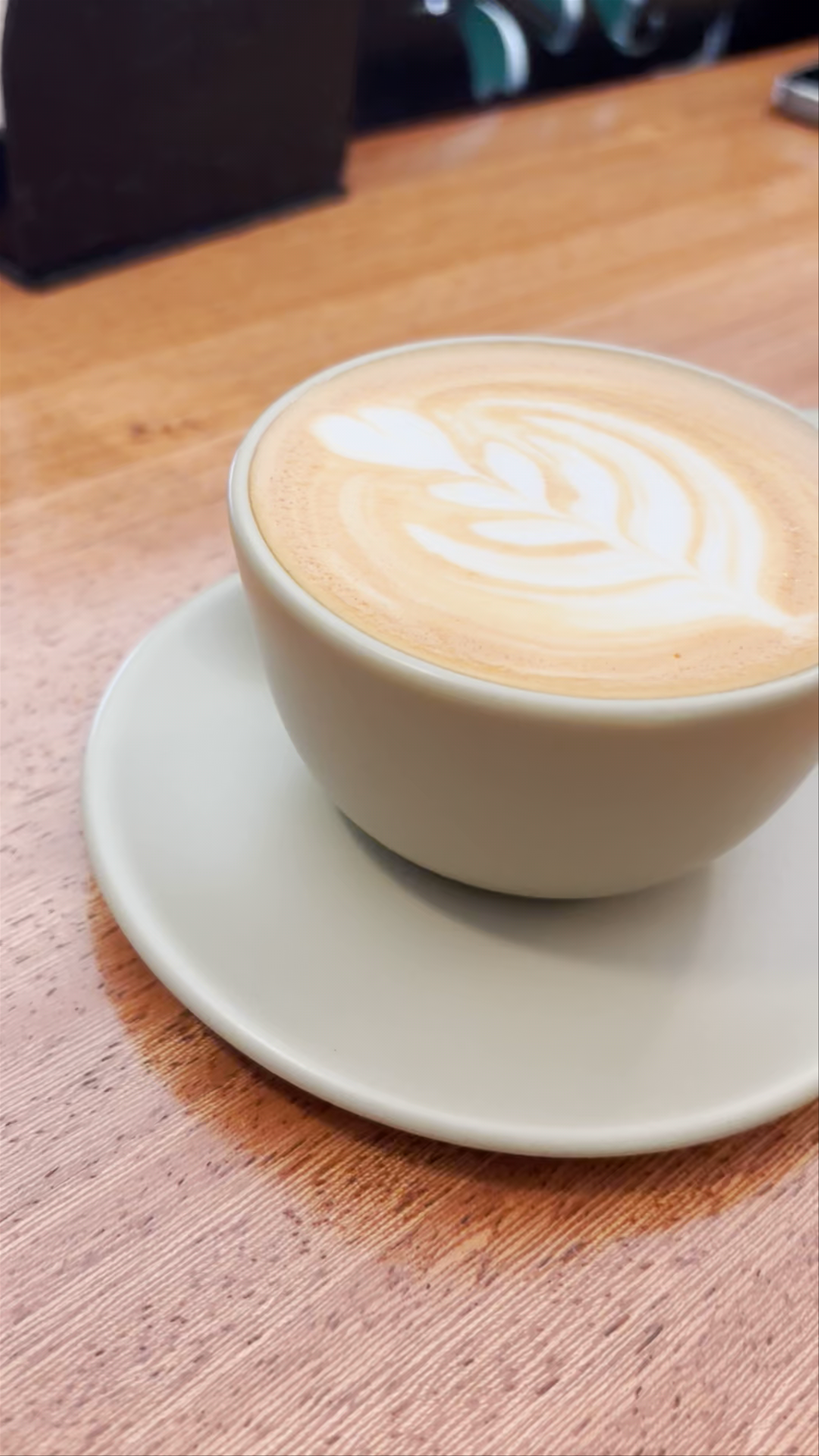 Kaffa Bunn - Specialty Coffee