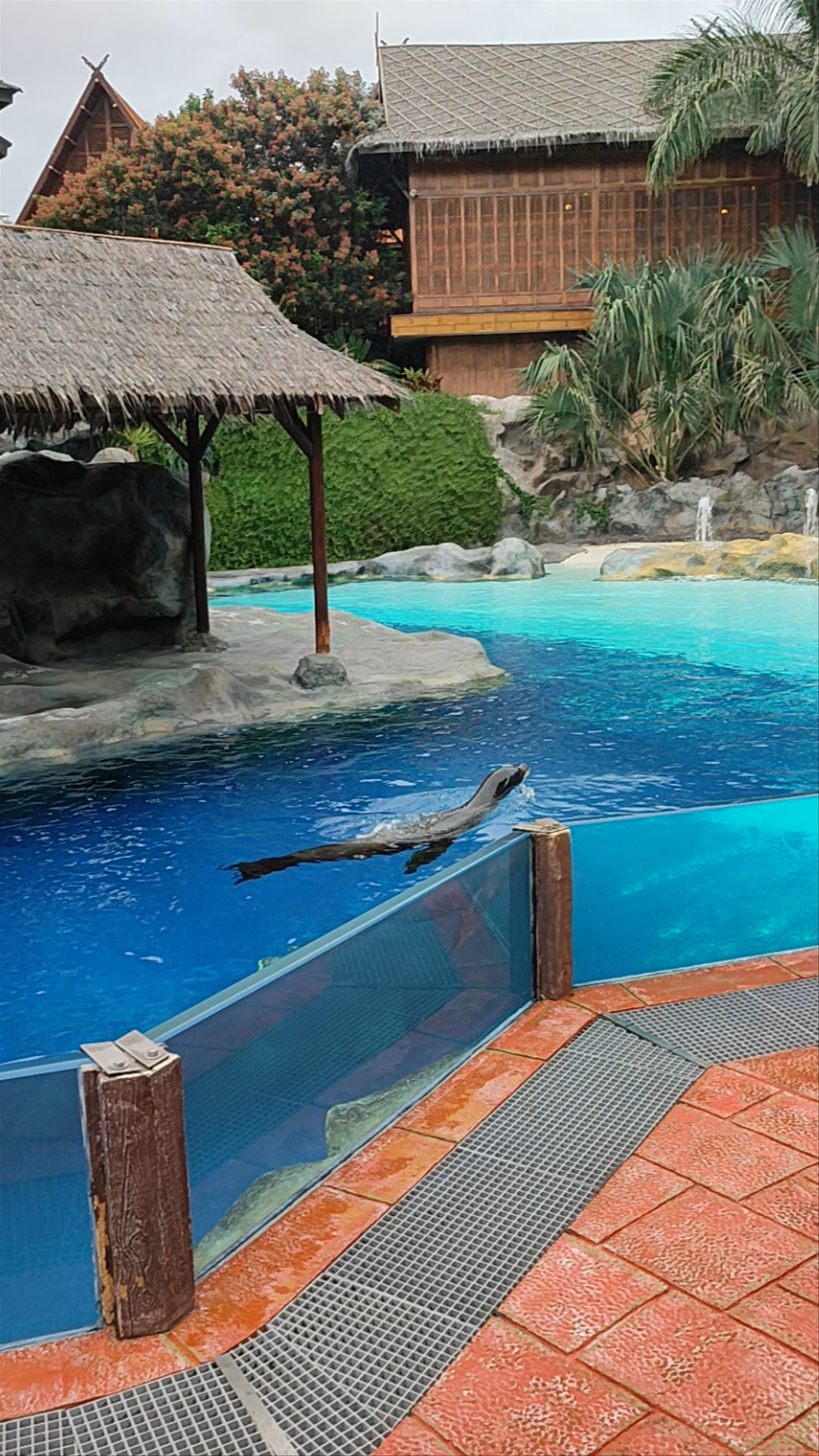 Siam Park