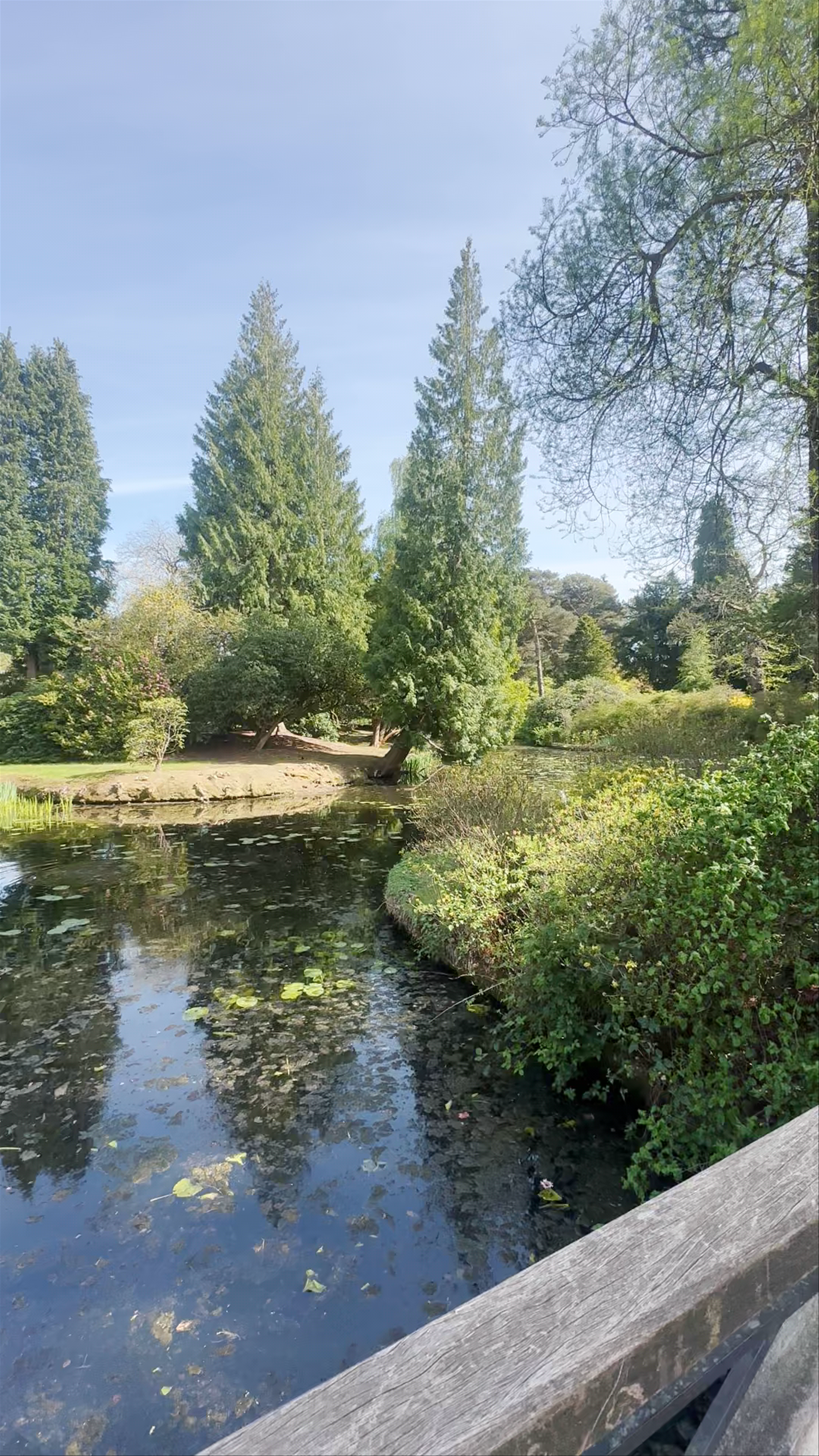 Springtime Serenity at Tatton Park Country Park, Knutsford