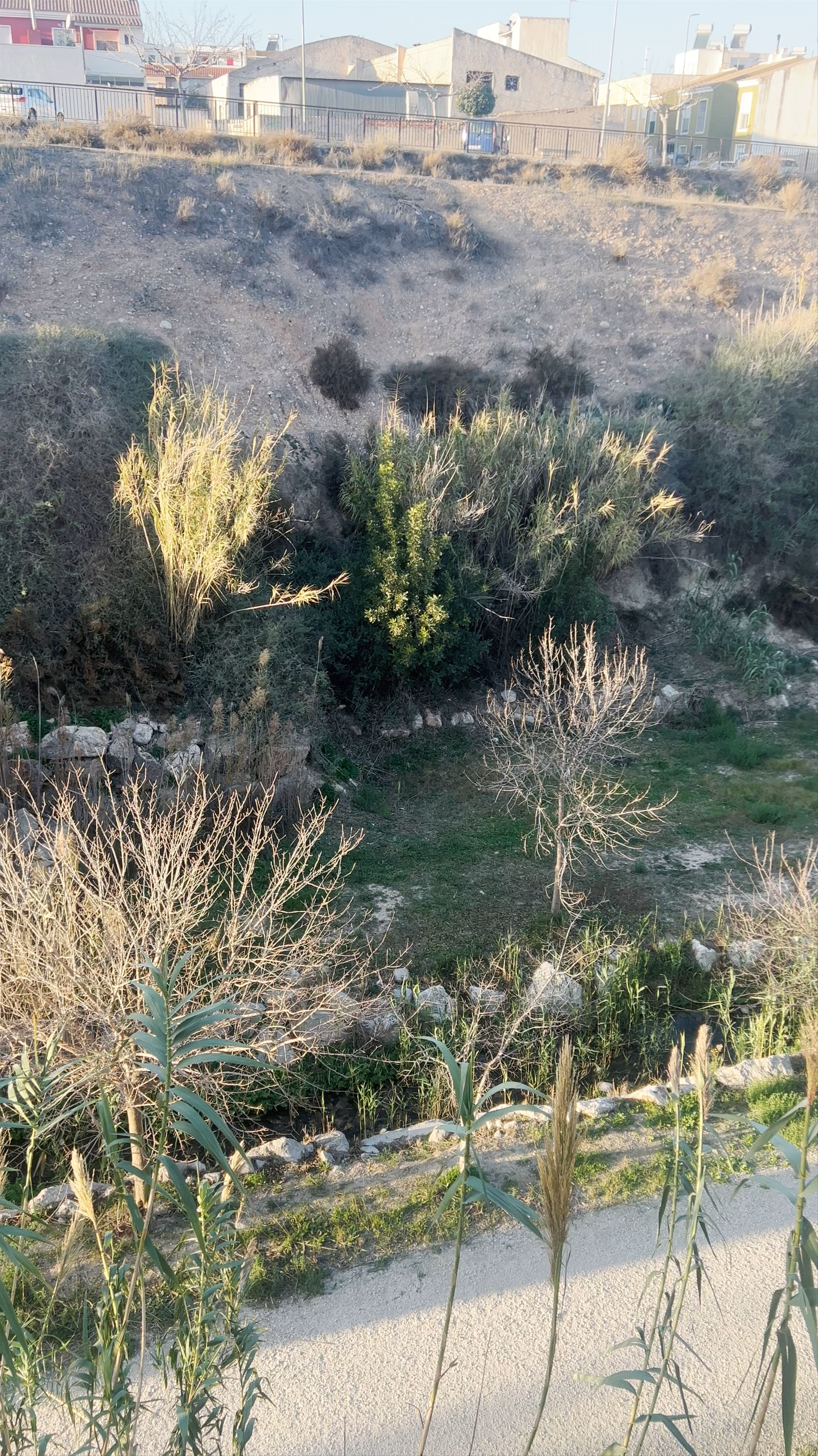 Pasarela de San Pascual