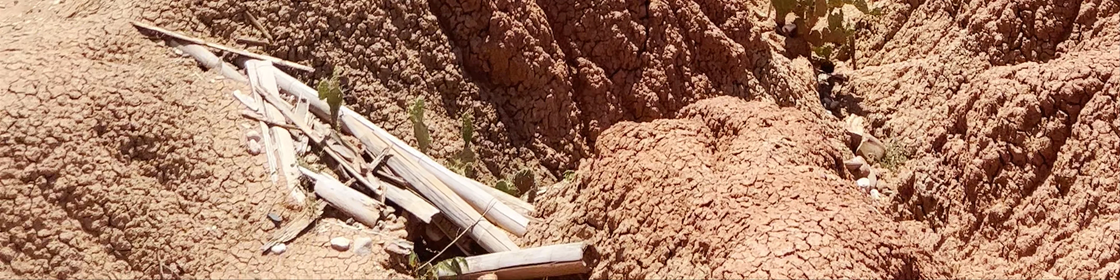 Tatacoa Desert