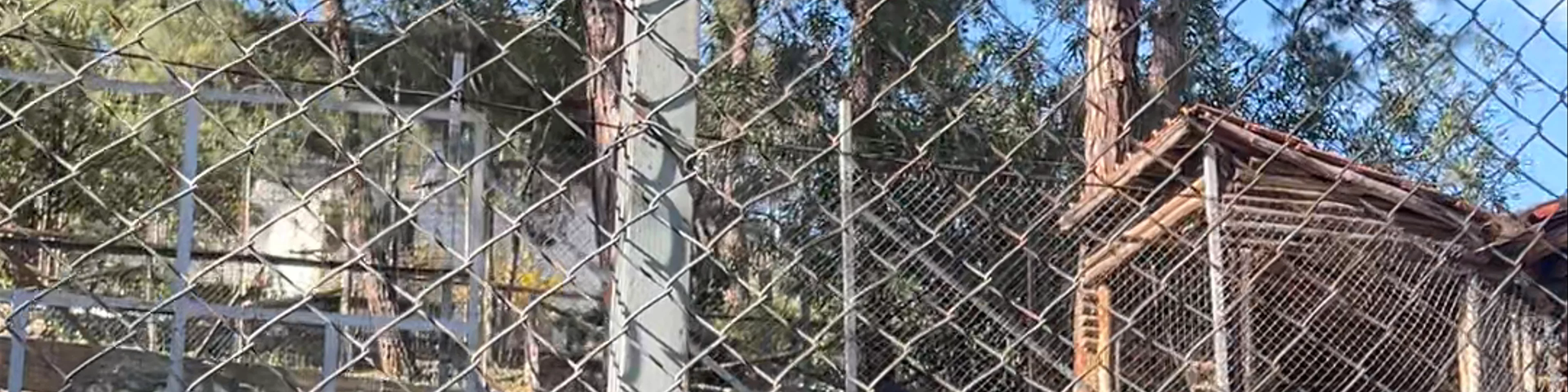 Ζωολογικός Κήπος Θεσσαλονίκης
