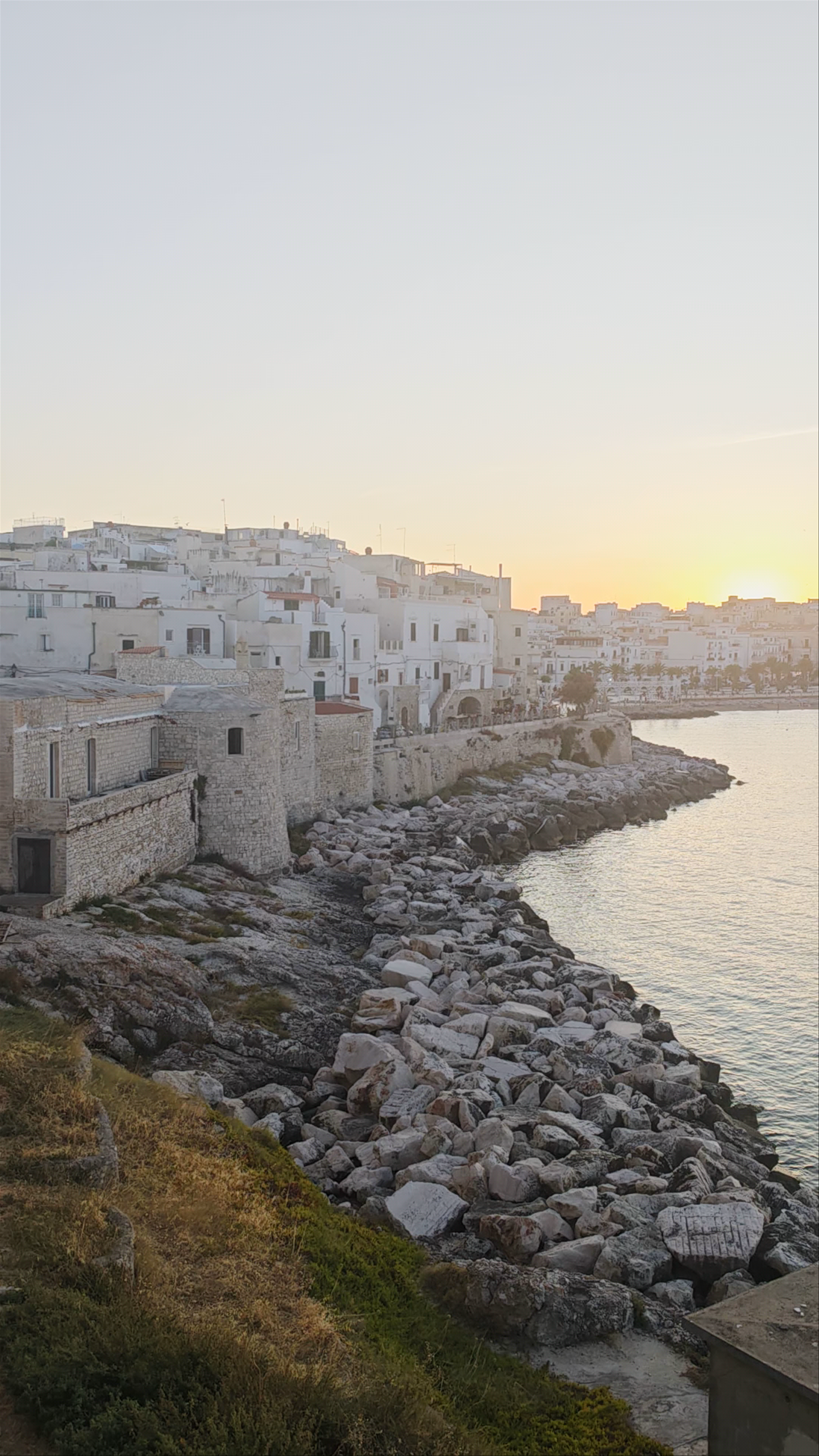 Church of Saint Francis