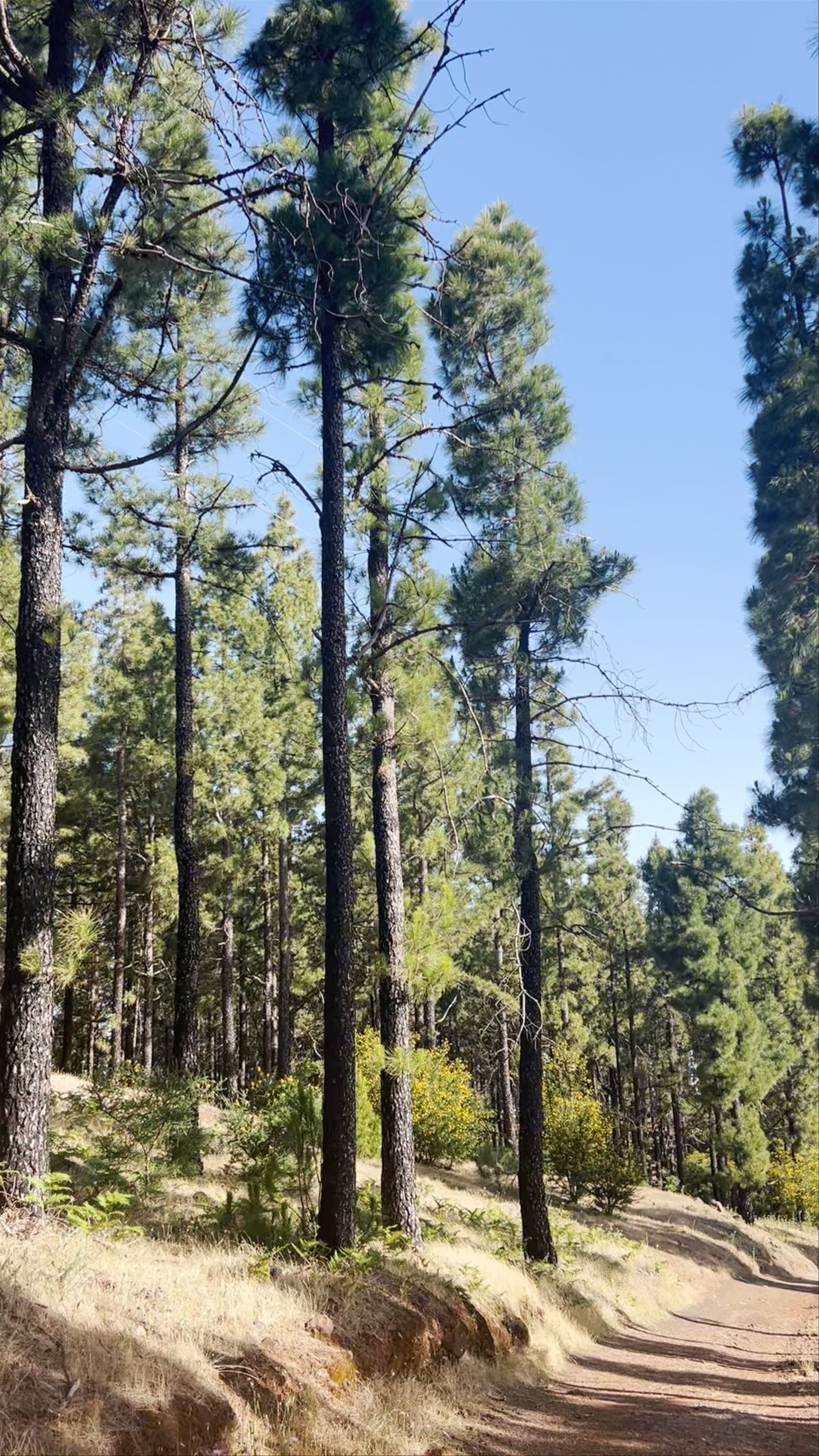 Hiking Through Paisaje Protegido de Las Cumbres in Spain