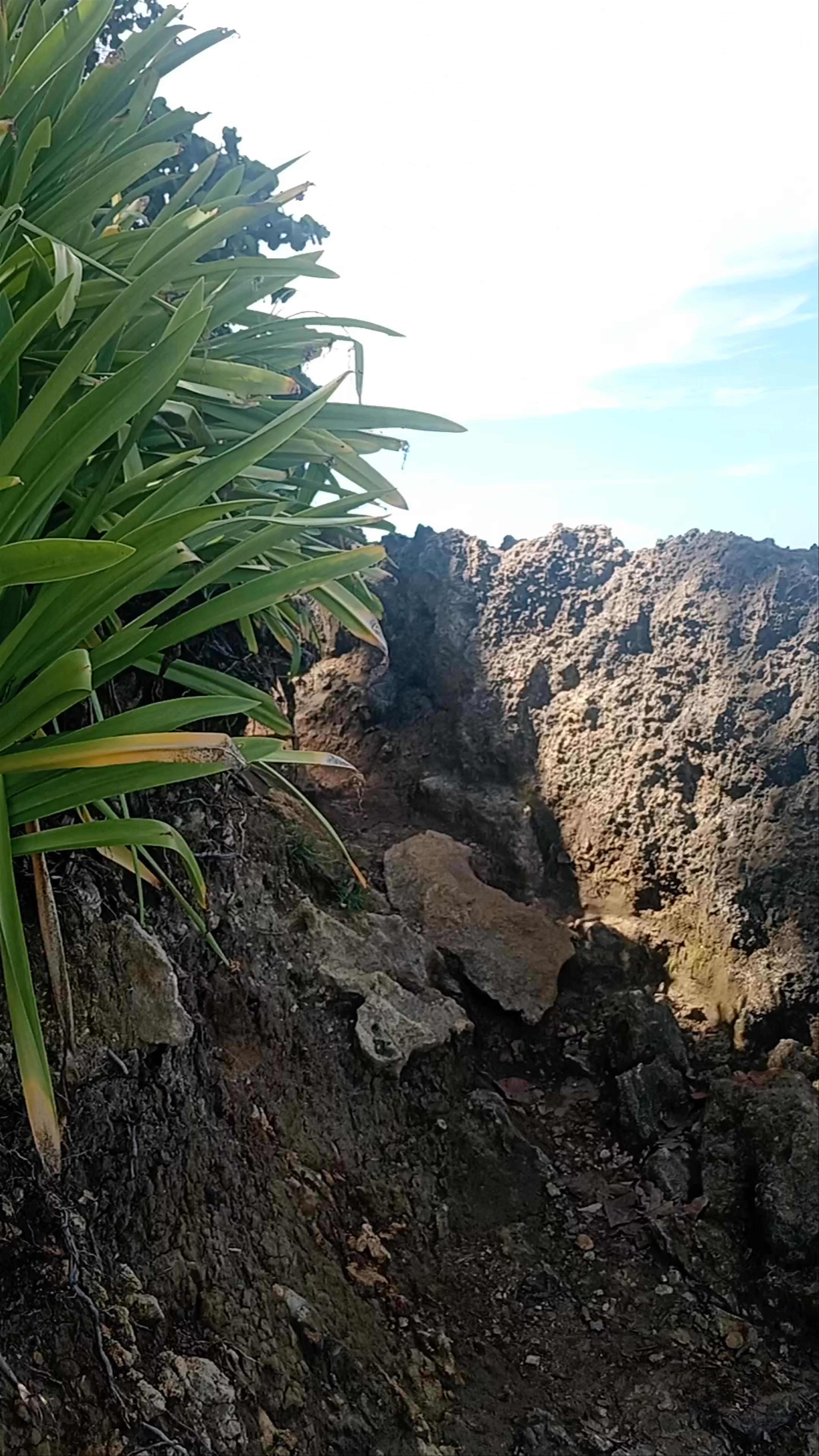 Playa Cocles