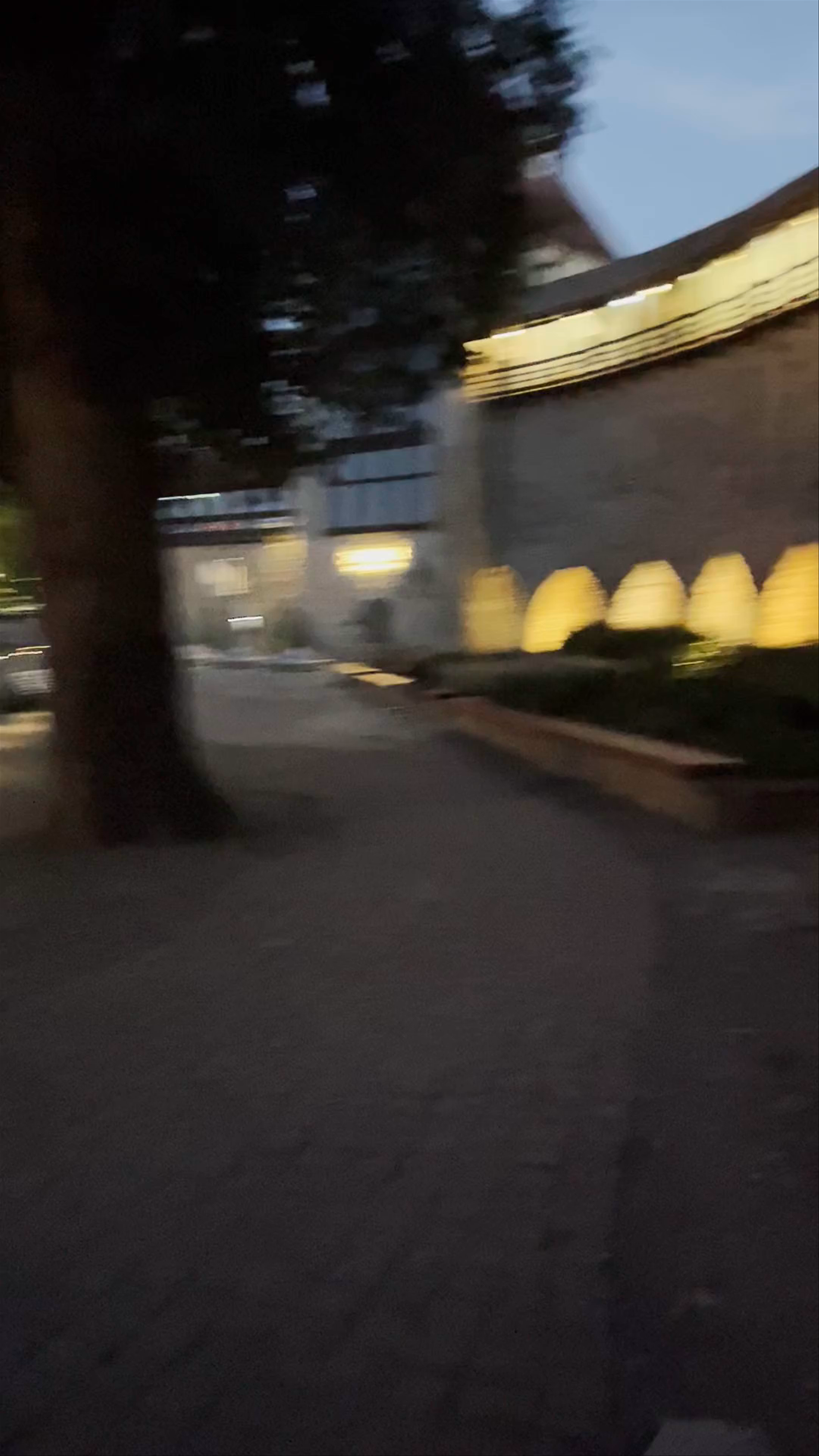 Danish King's Garden