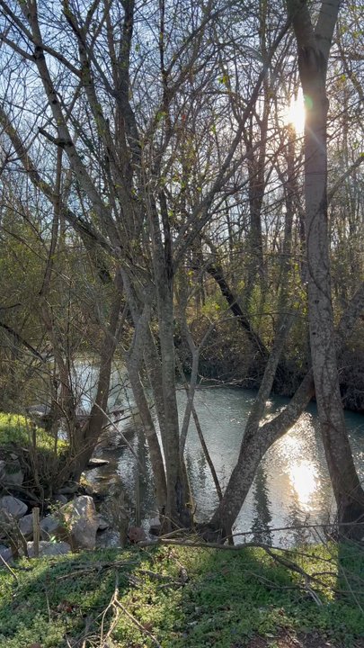 Buck Creek Park - Relaxing! - Parks Near Me - Alabaster, Alabama