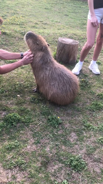 Creature Features - Zoos Near Me - Athens, Tennessee