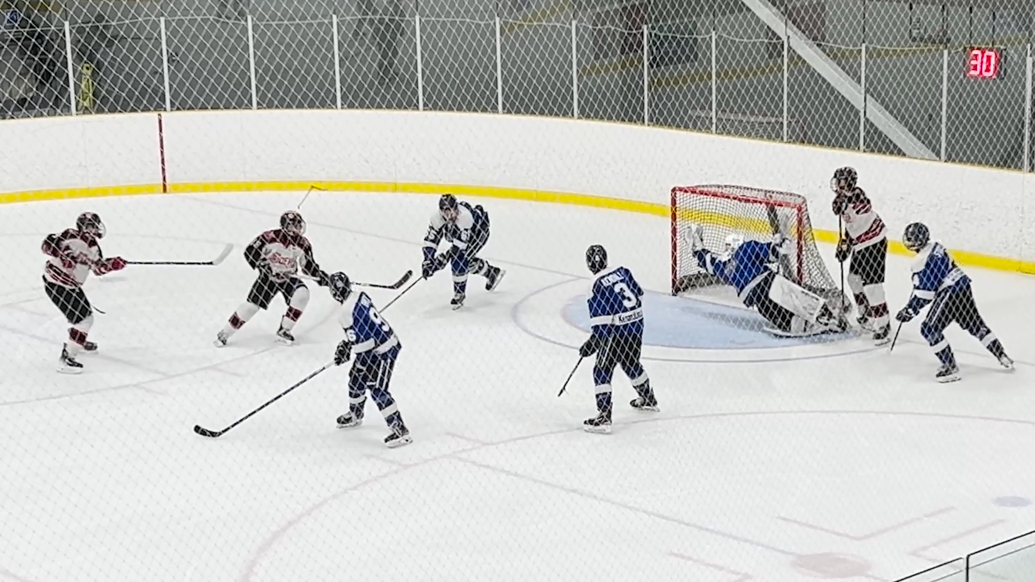 Nikolas Alemany's Stellar Saves | Cumberland Jr. Grads U16 AA Highlights