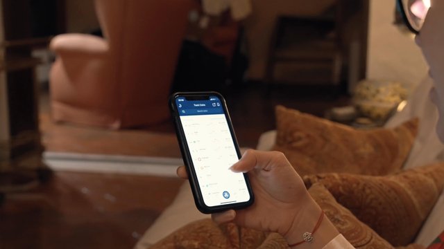 A girl tracking a trade graph cryptocurrency on her smartphone