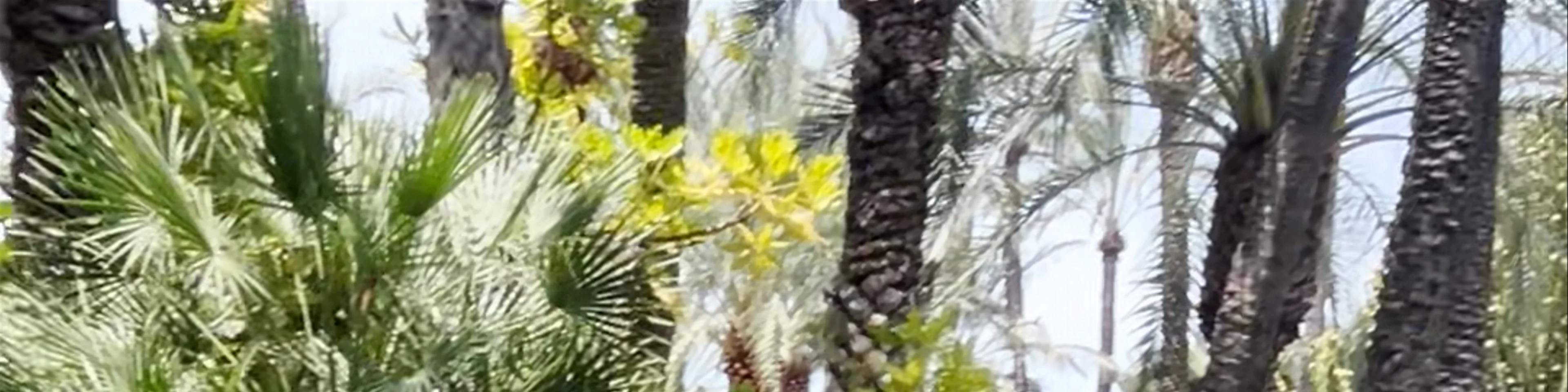 Jardín Huerto del Cura