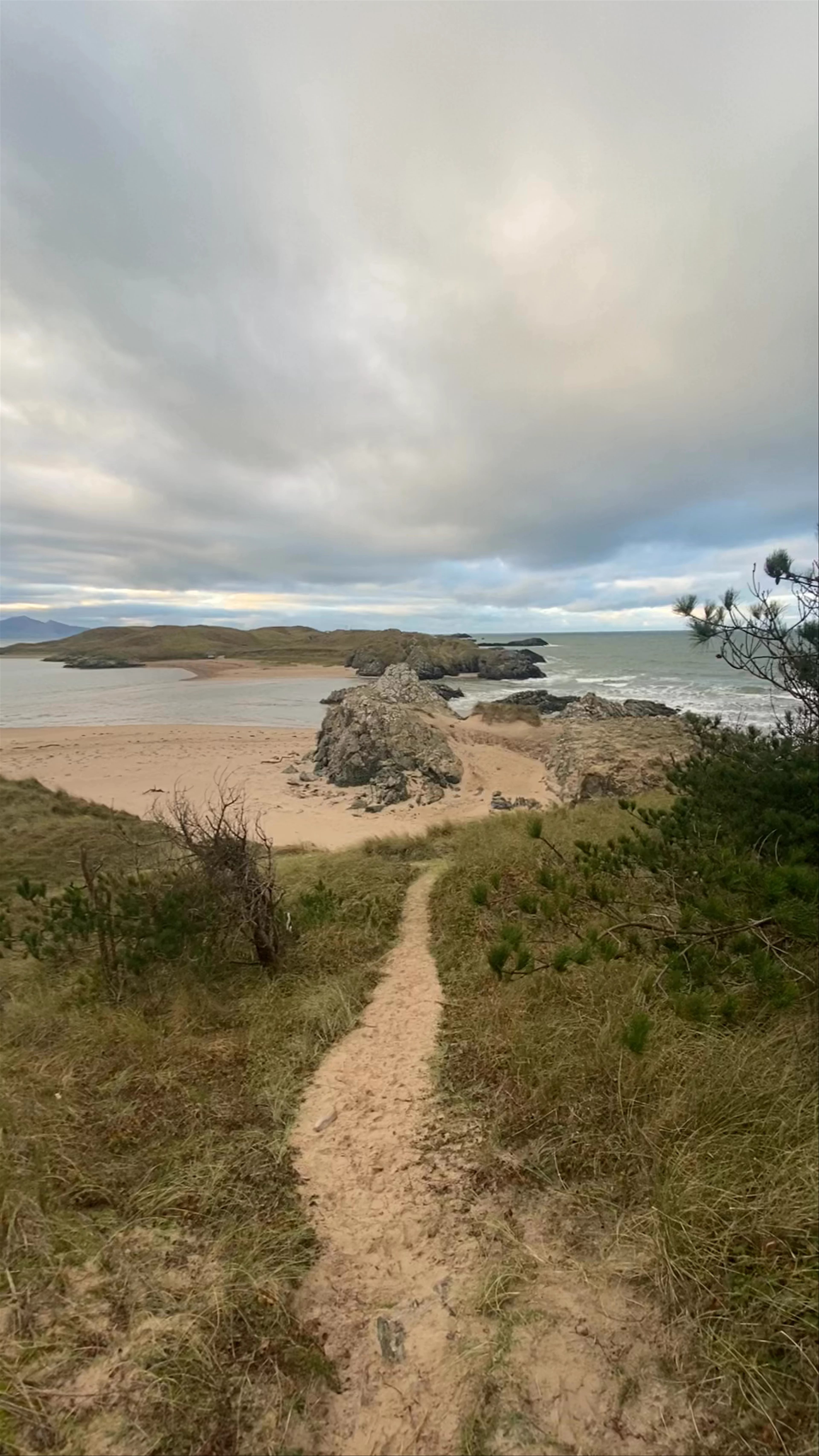 Newborough Forest, Llanfairpwllgwyngyll, UK
