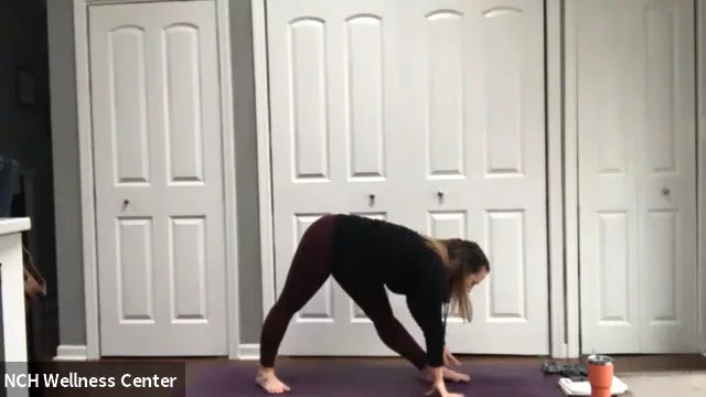 Vinyasa Yoga (45) w/ Jenna 