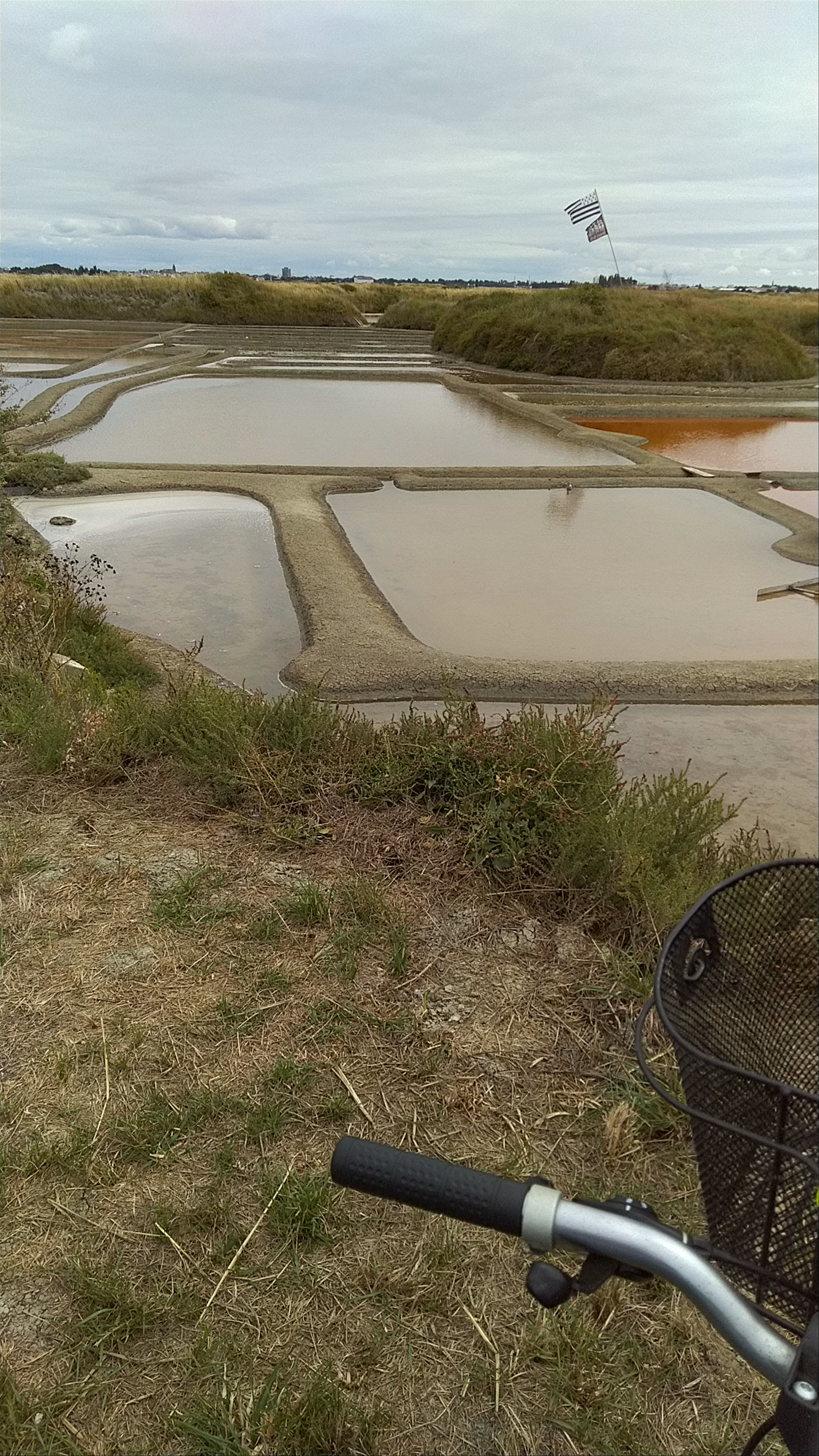 Salt marshes of Guérande
