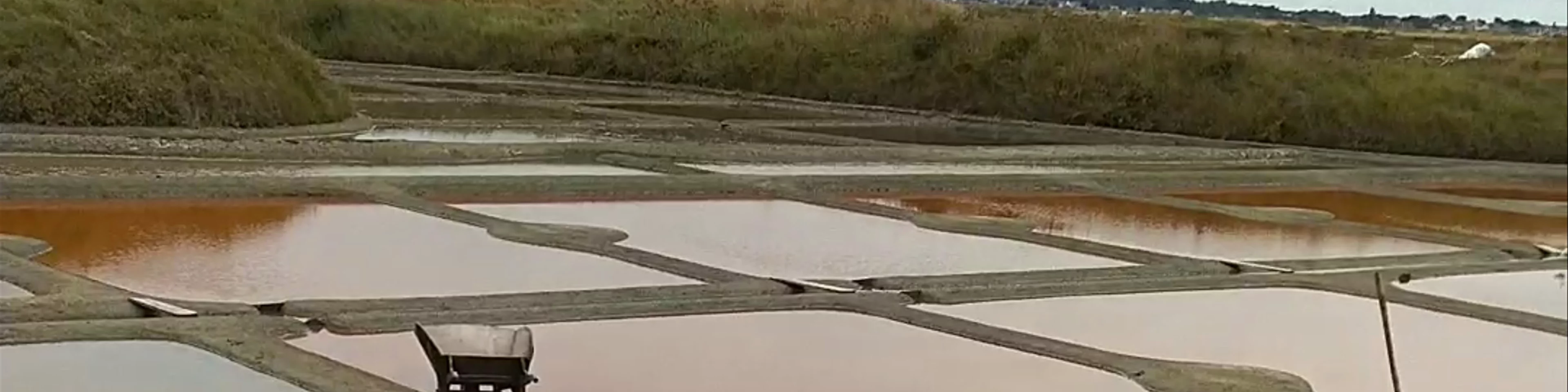 Salt marshes of Guérande