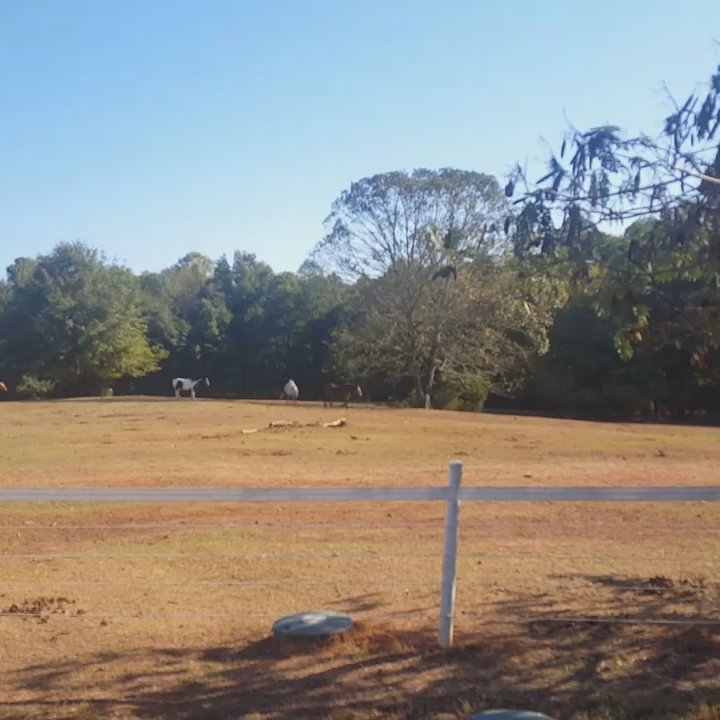 Southern Cross Ranch - Peaceful beauty. - Horseback Riding Near Me - Madison, Georgia