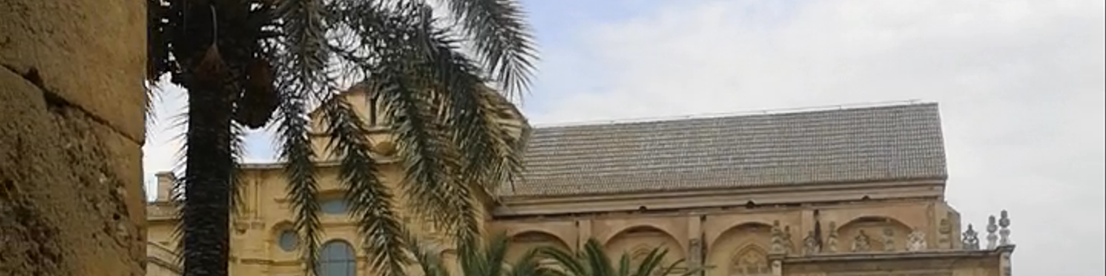 Patio de los Naranjos