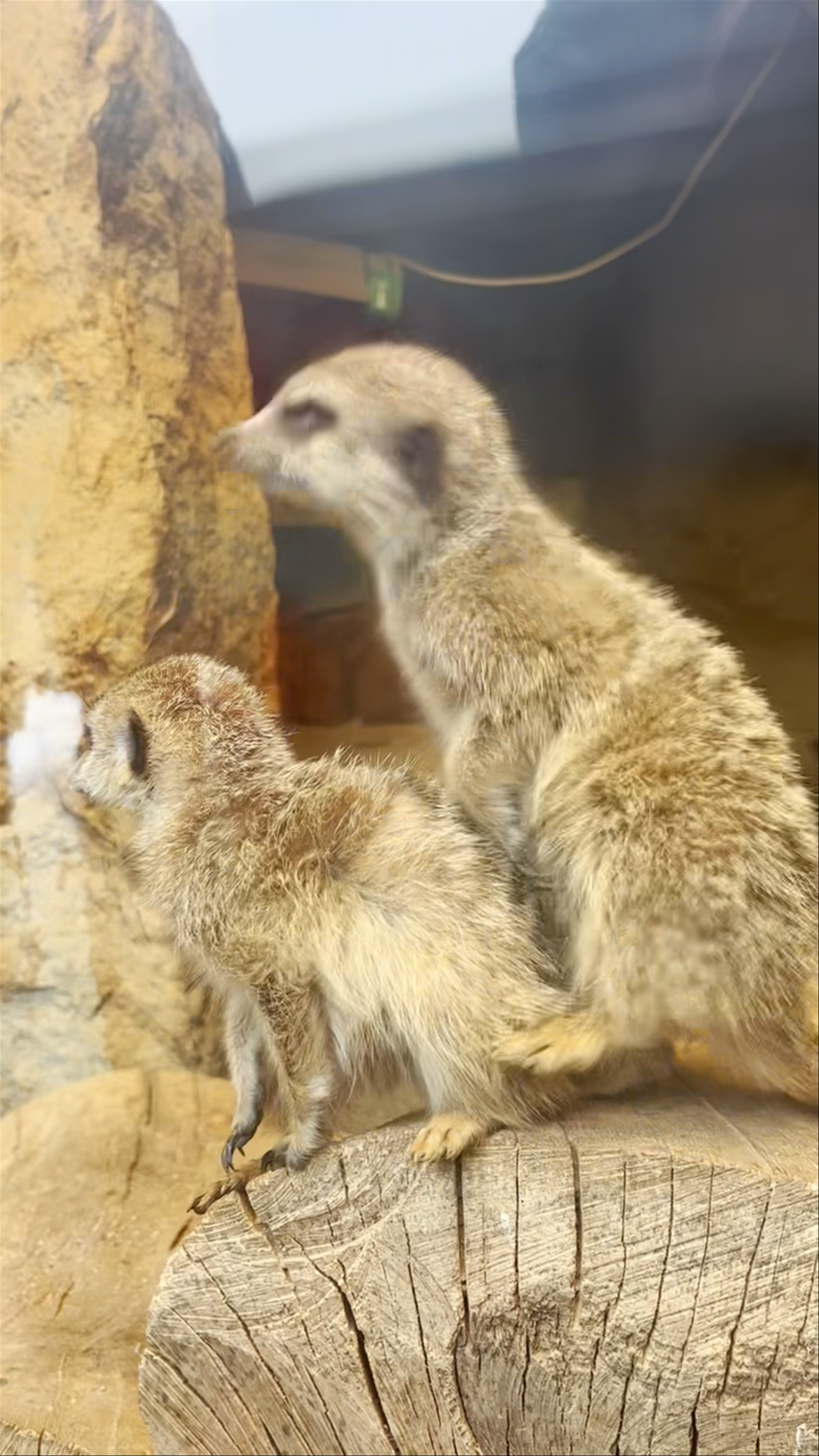 Prague Zoo