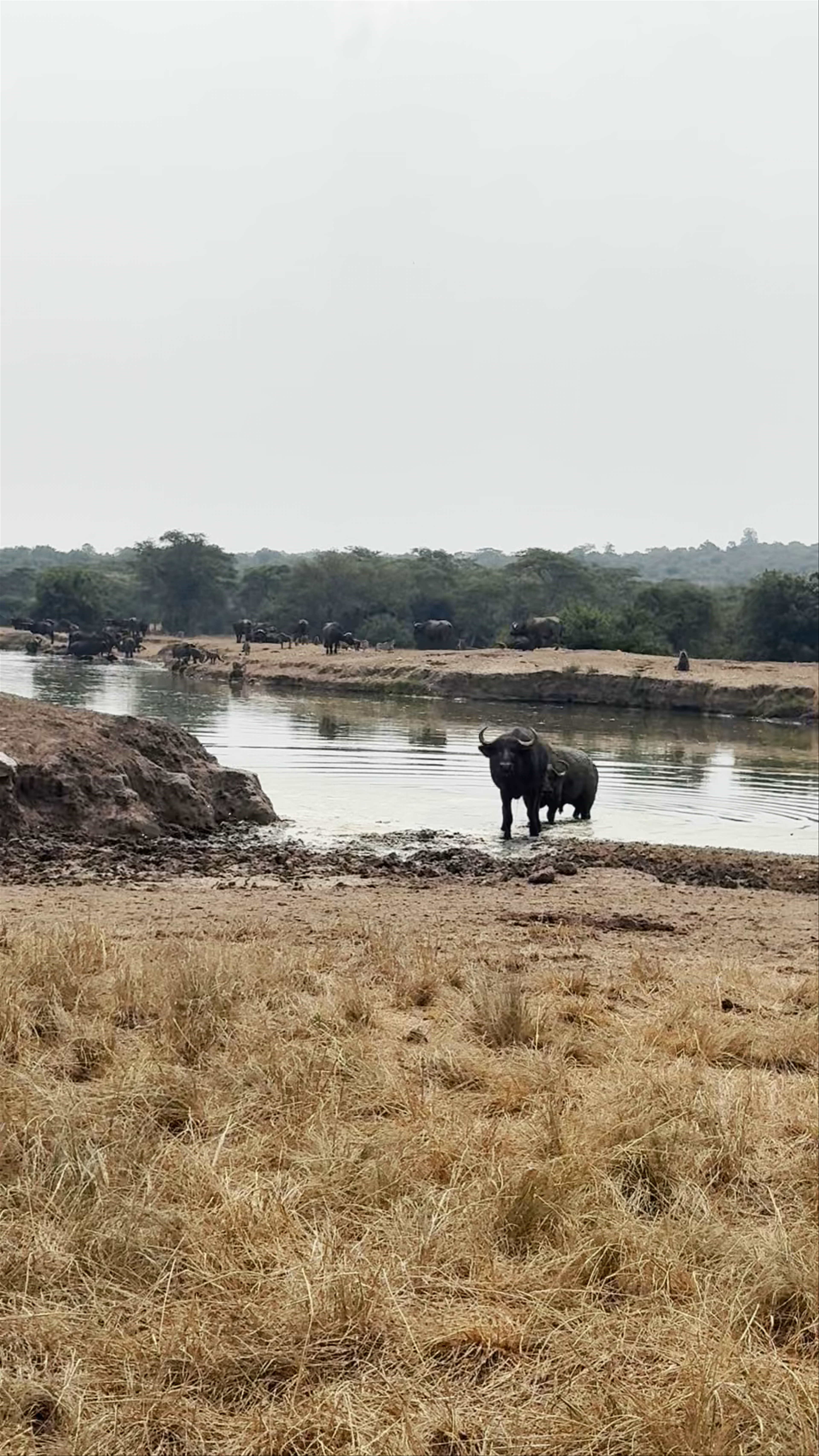 Lake Mburo National Park