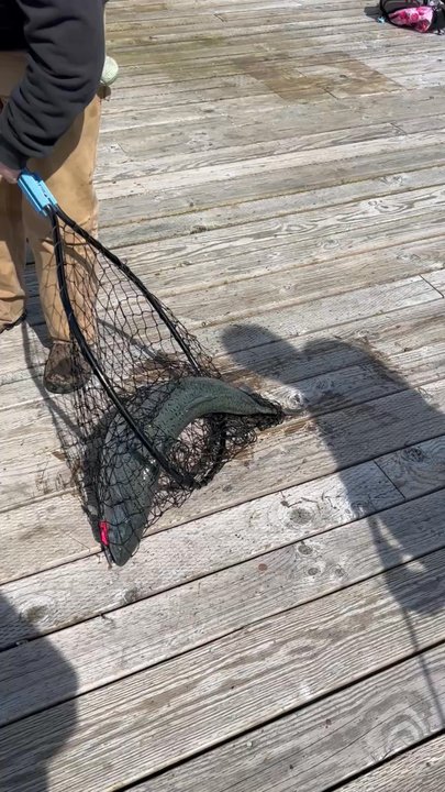 Chum Fun Charters - Fishing Near Me - Juneau, Alaska
