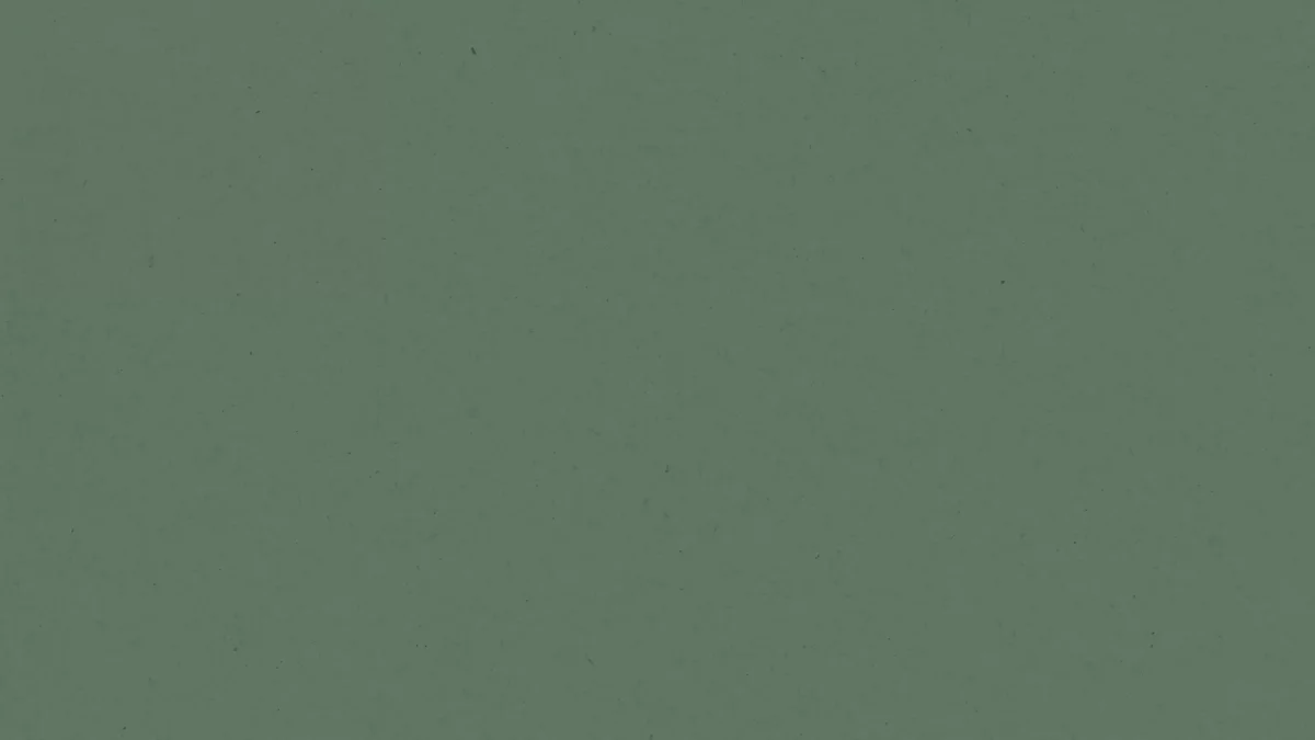 bsg-branding_animation_02